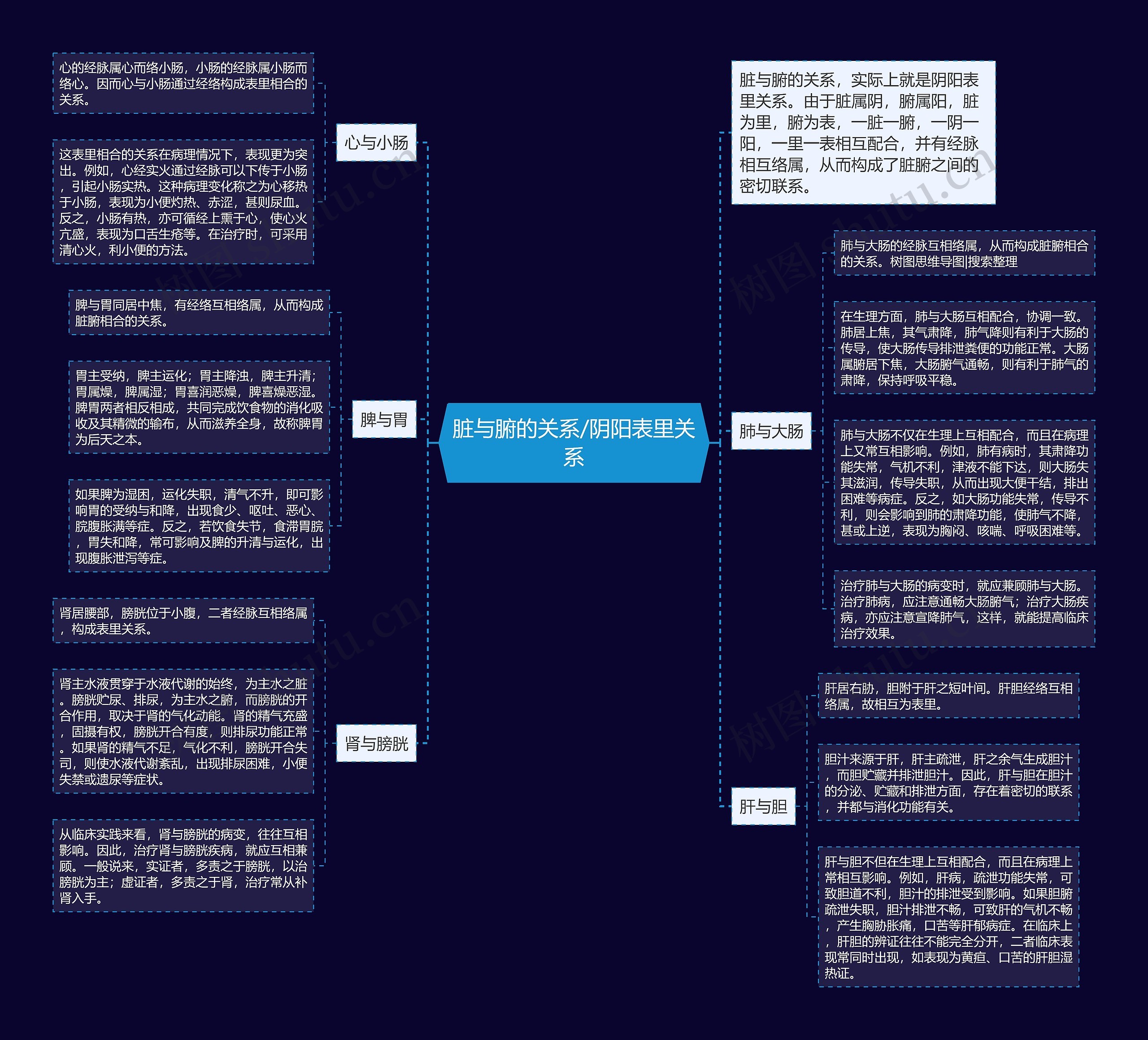 脏与腑的关系/阴阳表里关系 脏与腑的关系/阴阳表里关系