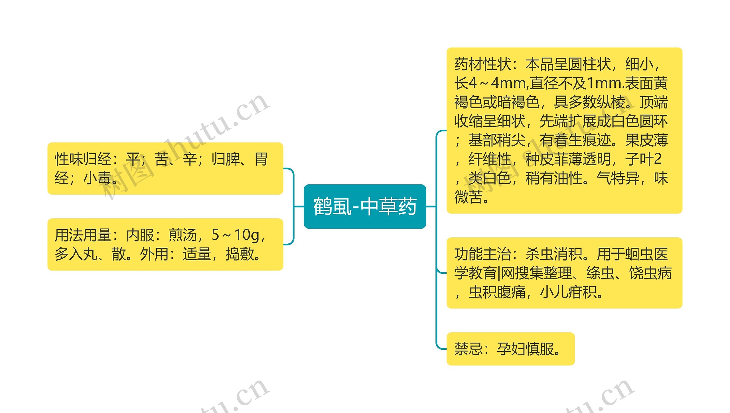 鹤虱-中草药 鹤虱-中草药