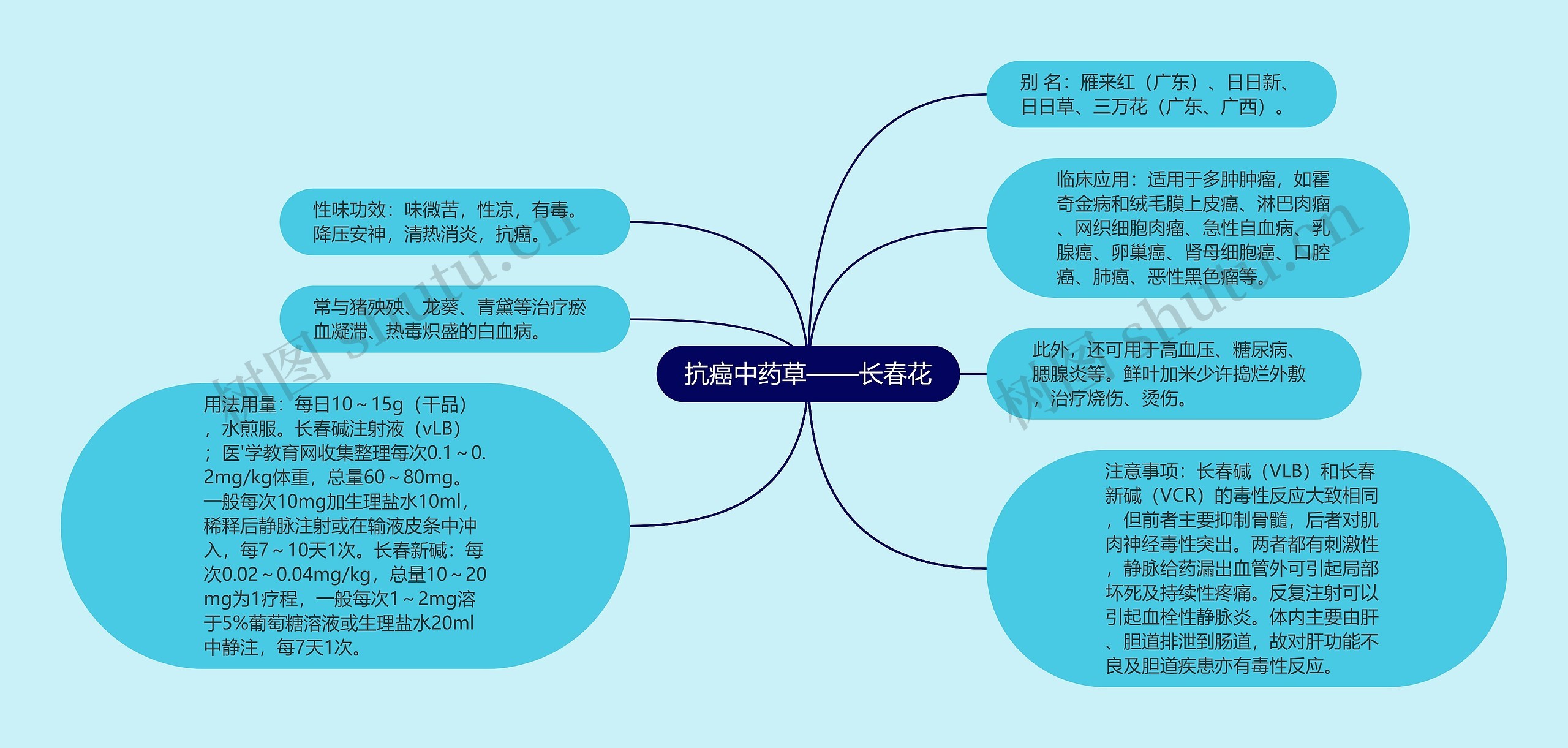 抗癌中药草——长春花思维导图