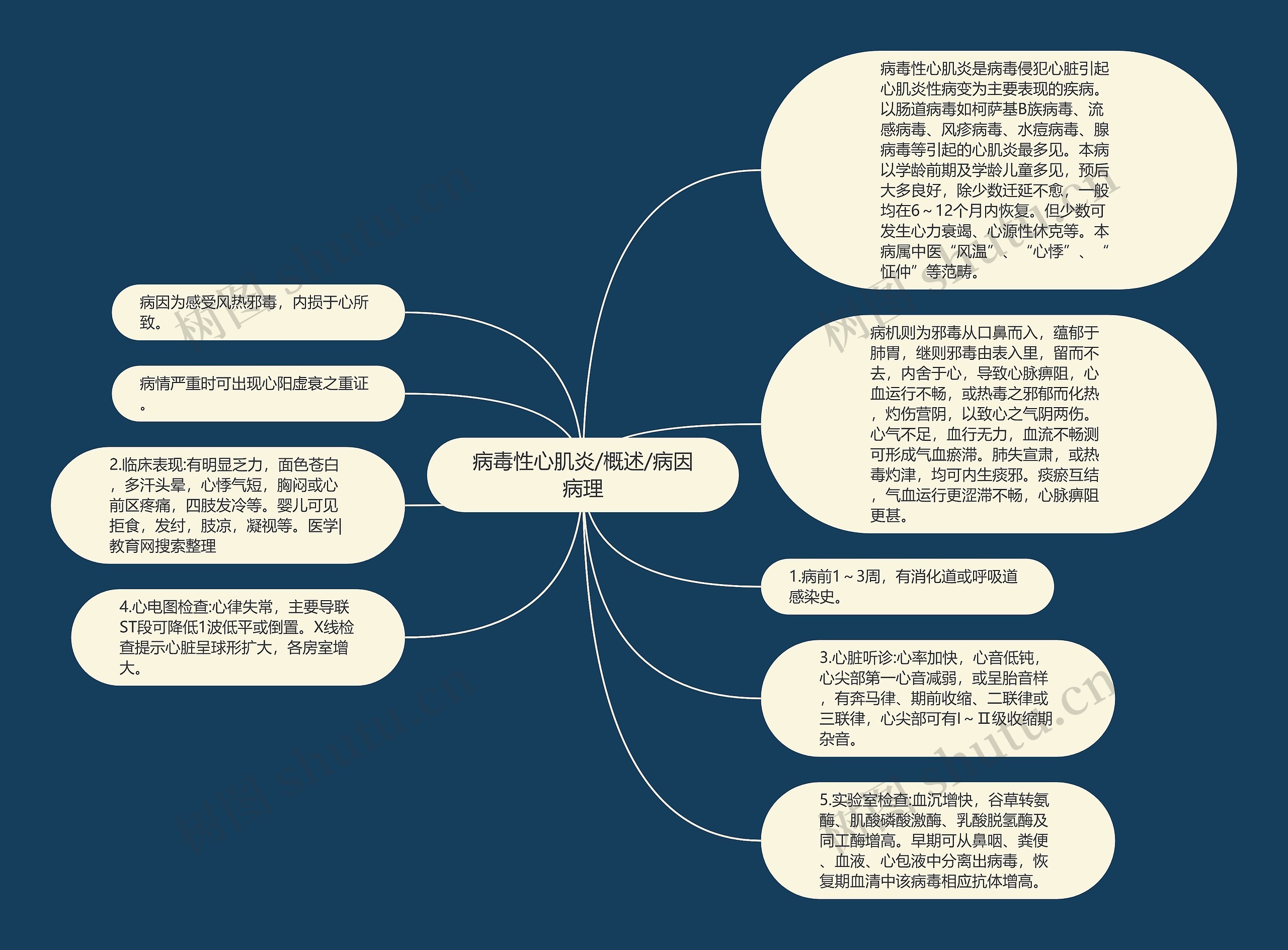 病毒性心肌炎/概述/病因病理思维导图高清图 病毒性心肌炎/概述/病因病理思维导图