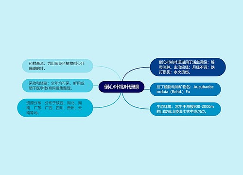 倒心叶桃叶珊瑚