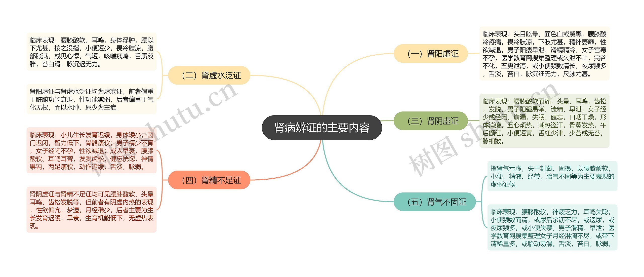 肾病辨证的主要内容