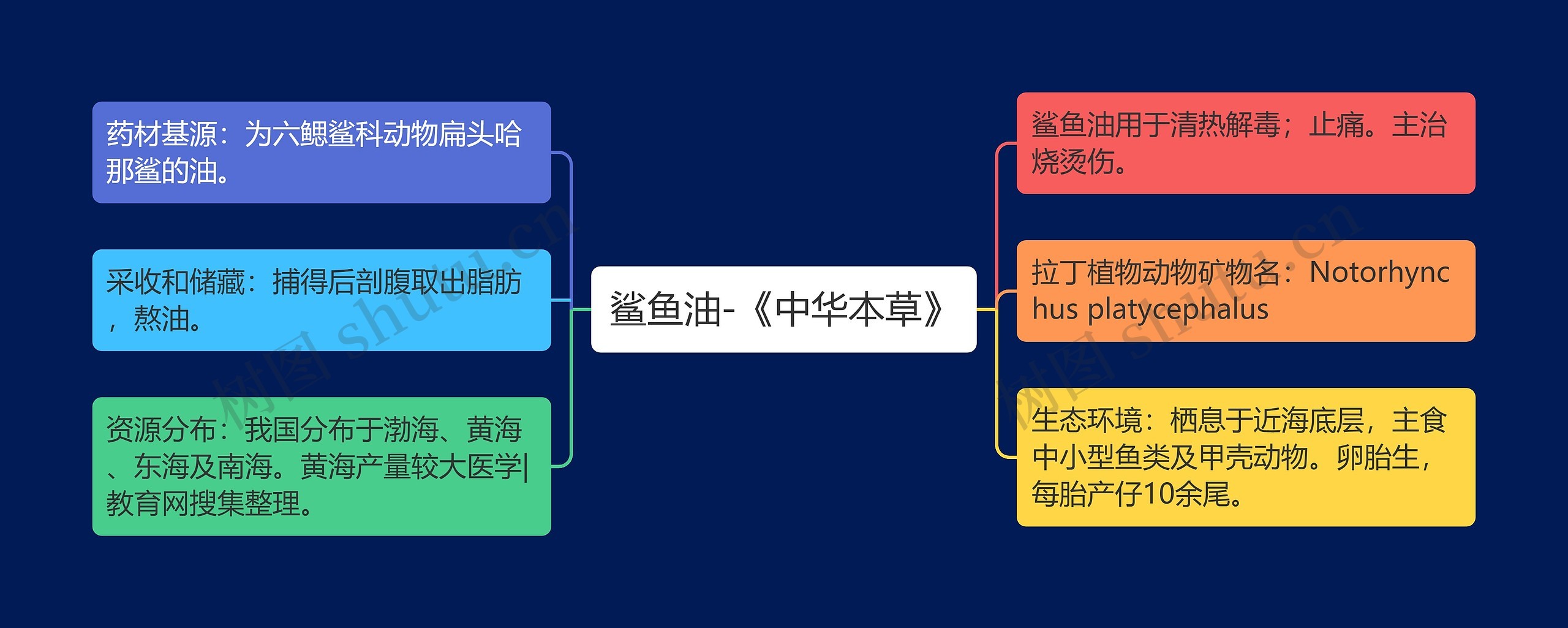 鲨鱼油-《中华本草》思维导图