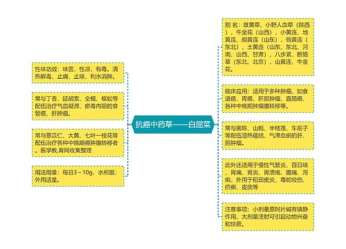 抗癌中药草——白屈菜