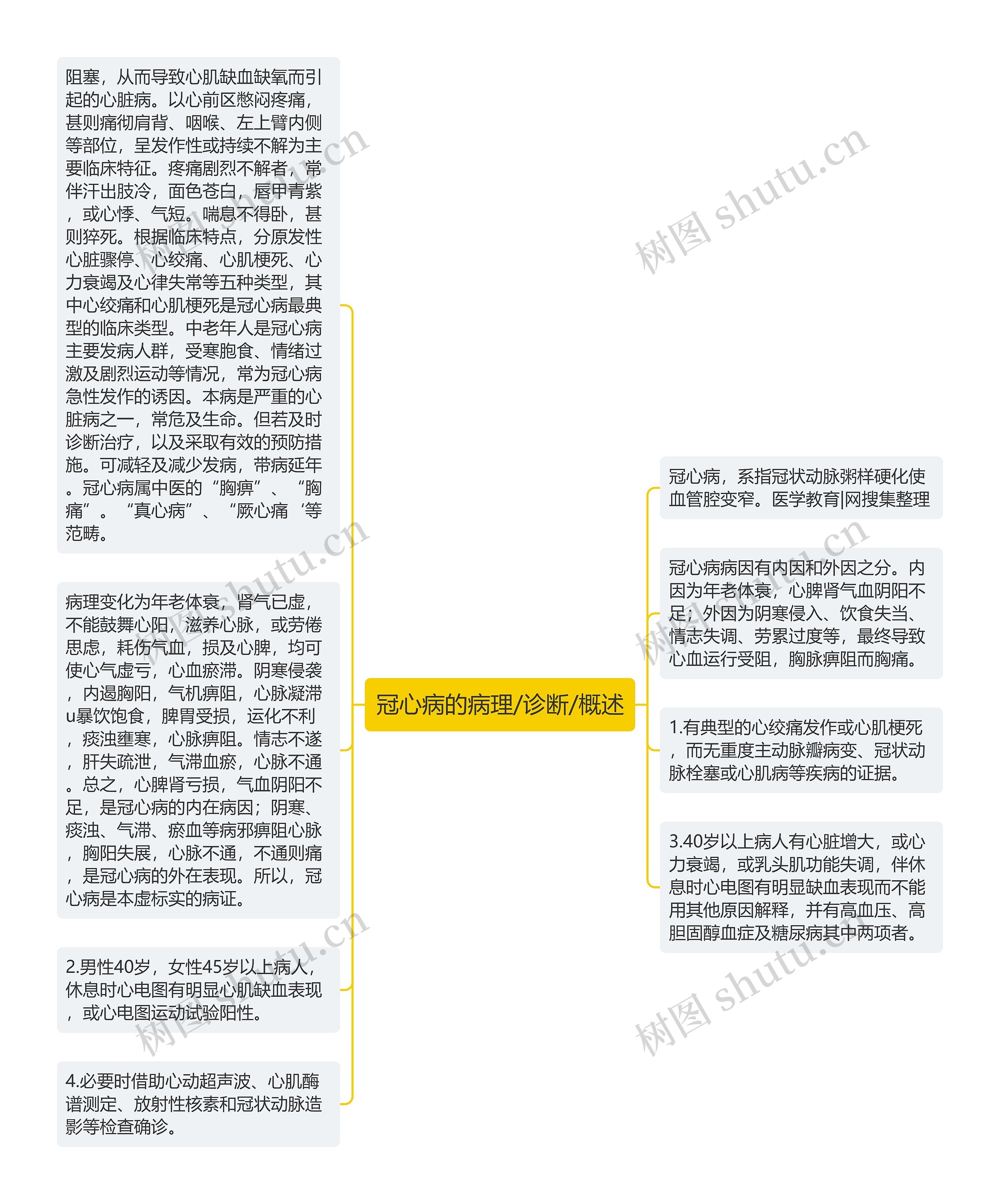 冠心病的病理/诊断/概述