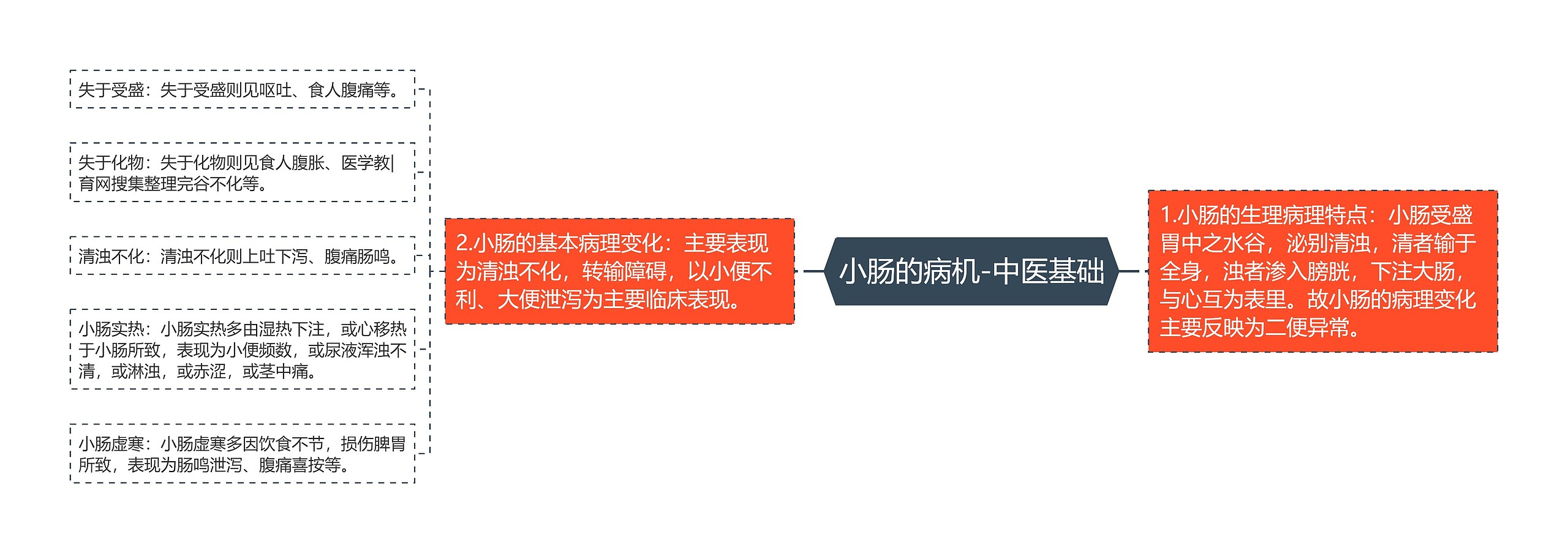 小肠的病机-中医基础 小肠的病机-中医基础