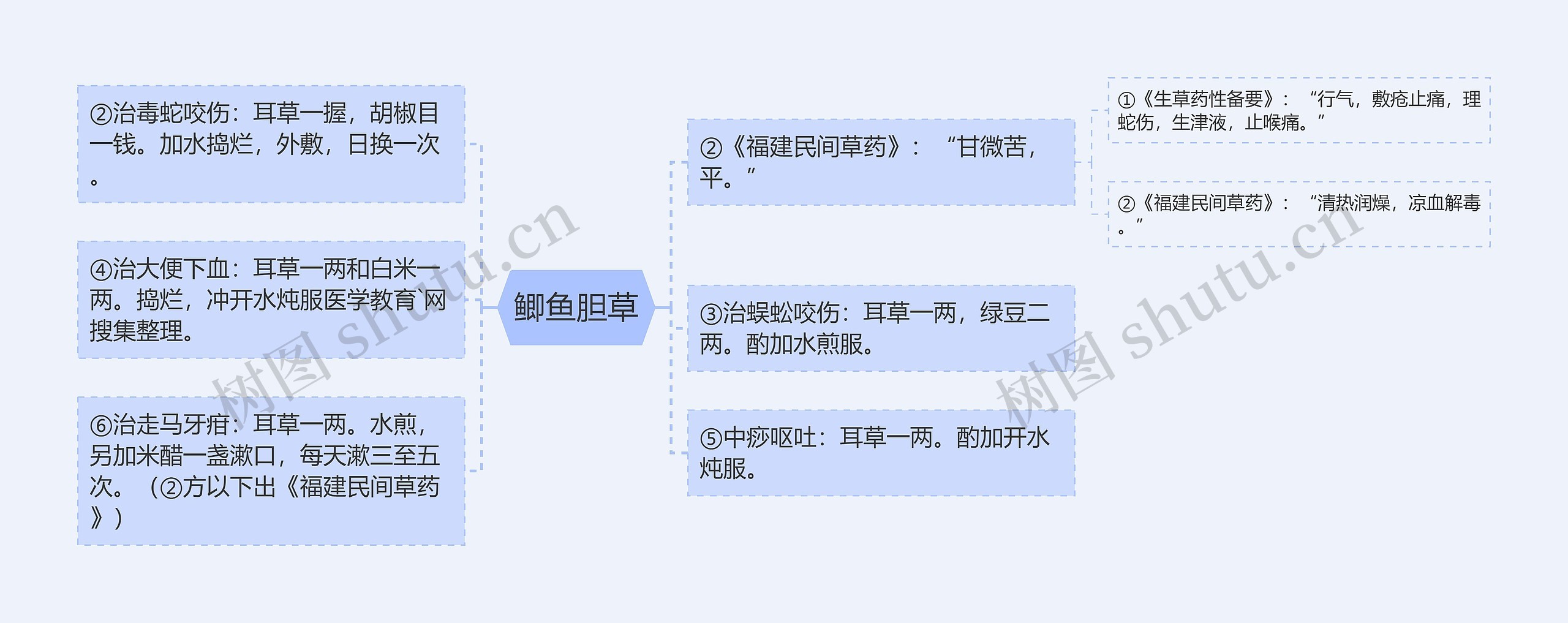 鲫鱼胆草思维导图