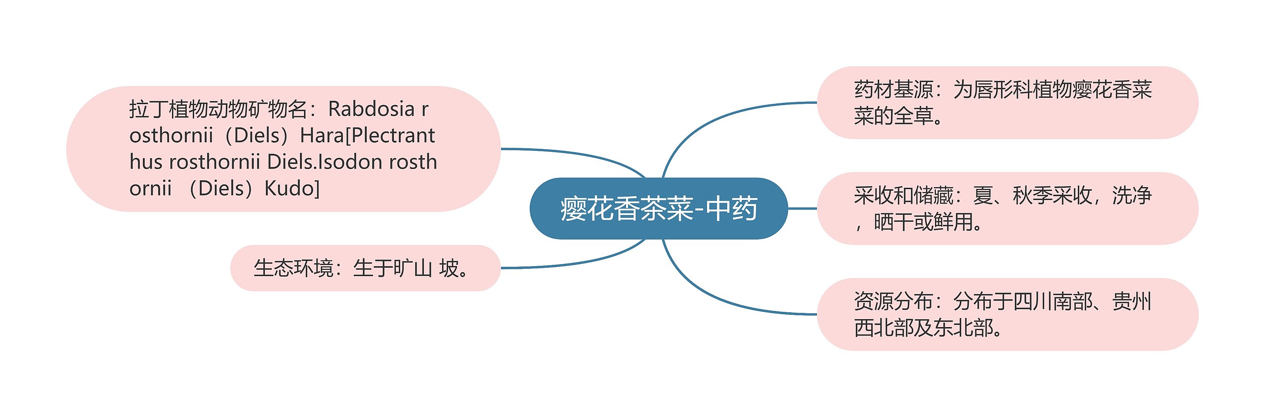 瘿花香茶菜-中药思维导图