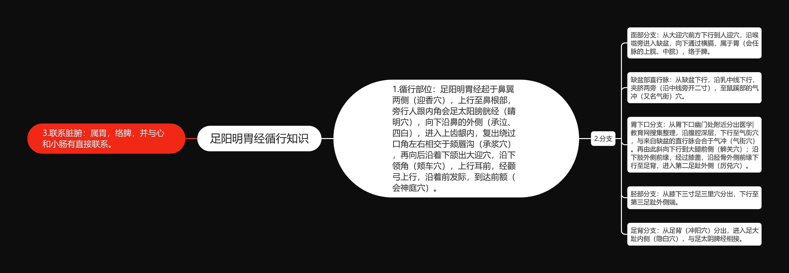 足阳明胃经循行知识思维导图