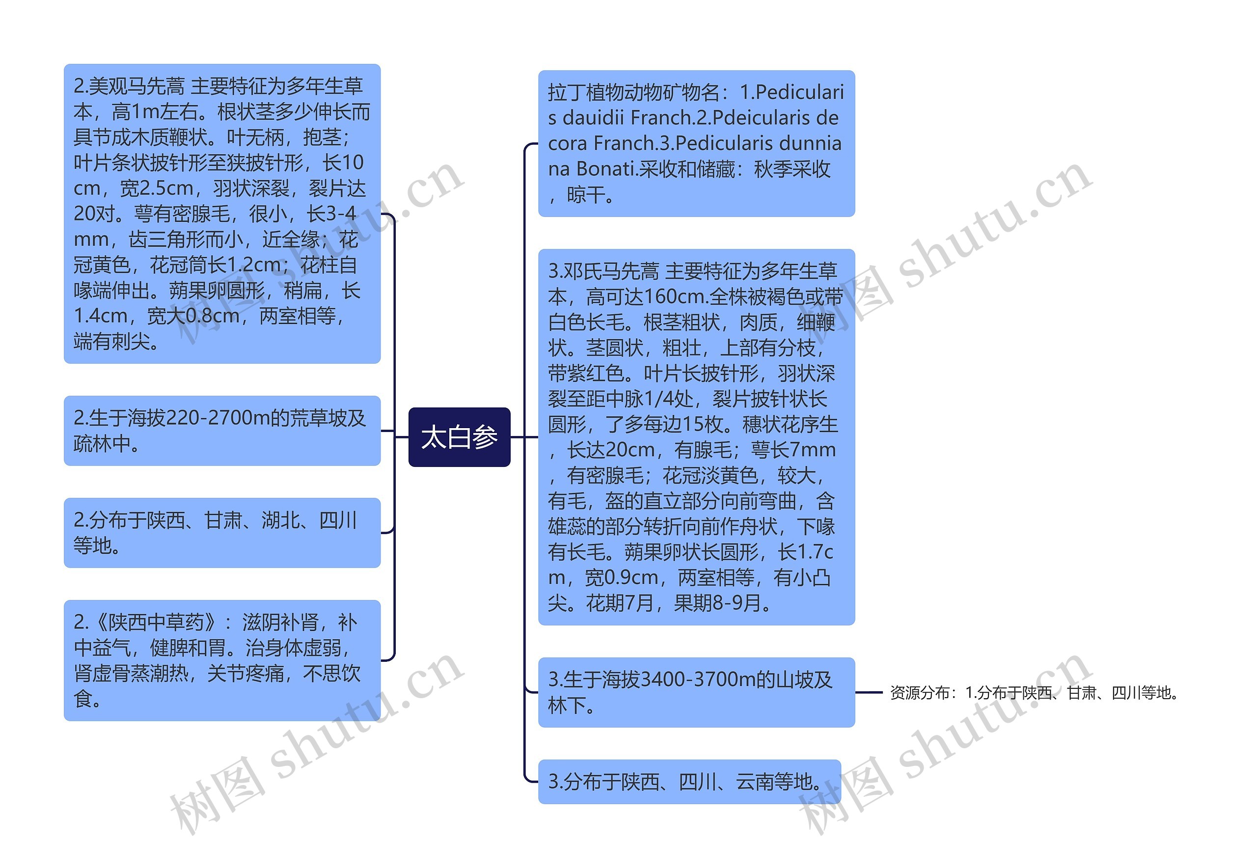 太白参思维导图