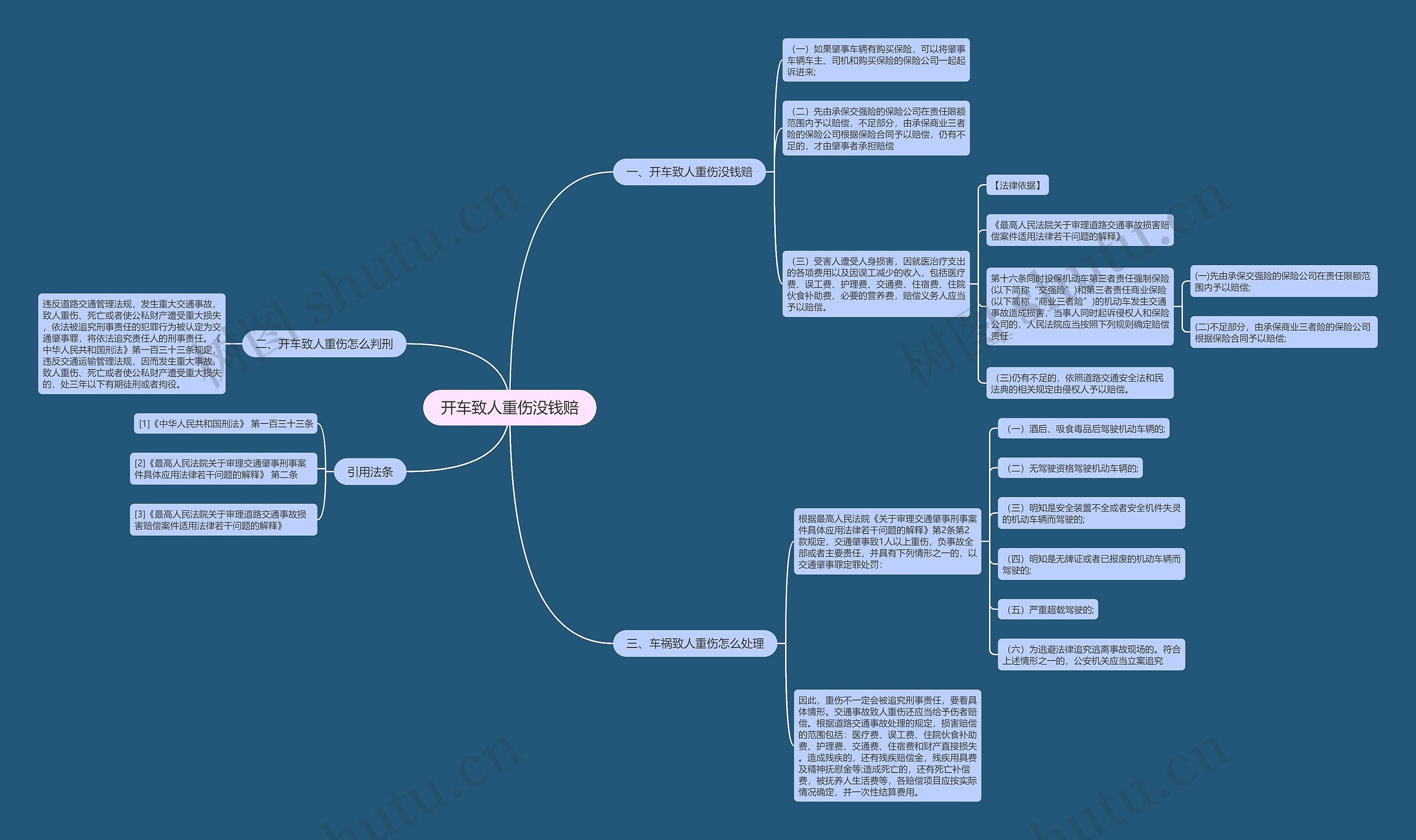 开车致人重伤没钱赔思维导图