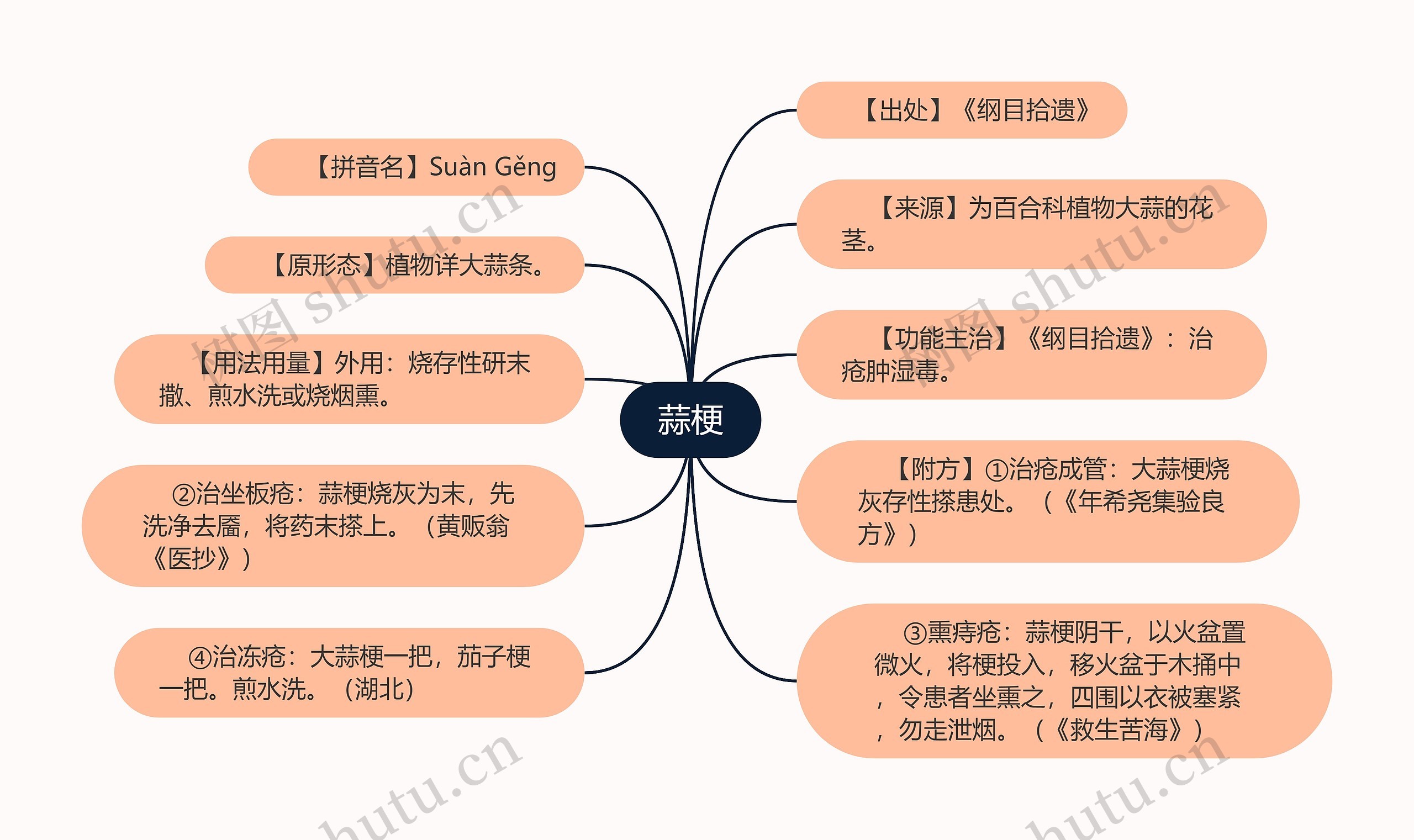 蒜梗思维导图