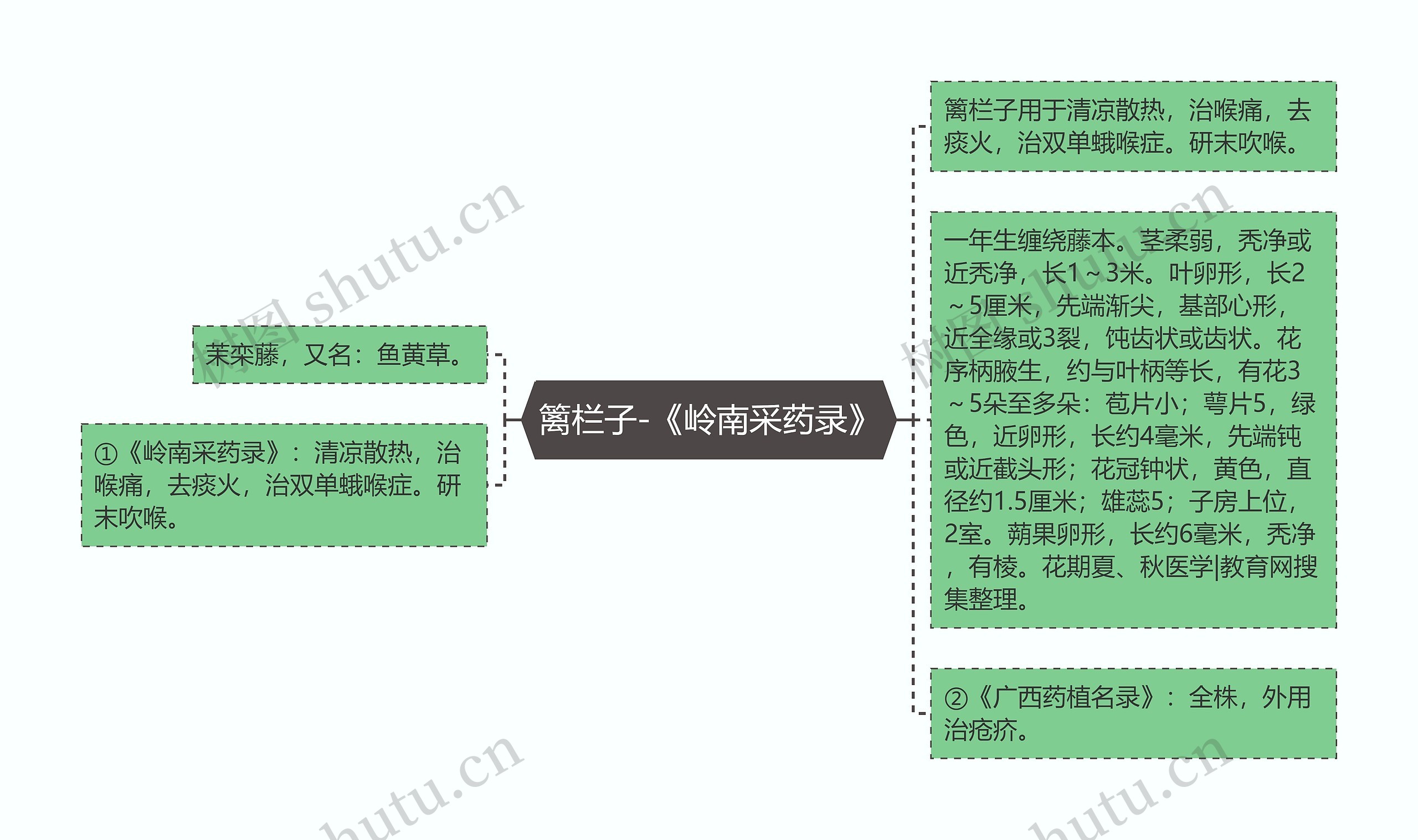 篱栏子-《岭南采药录》思维导图