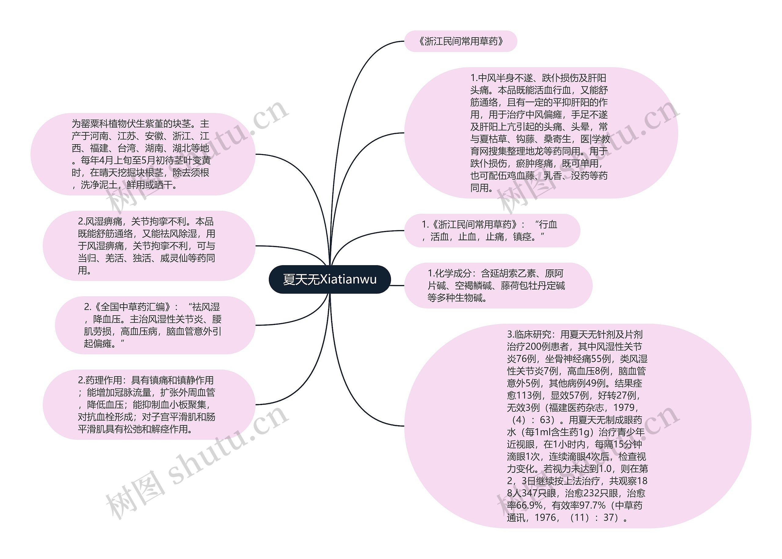 夏天无Xiatianwu思维导图