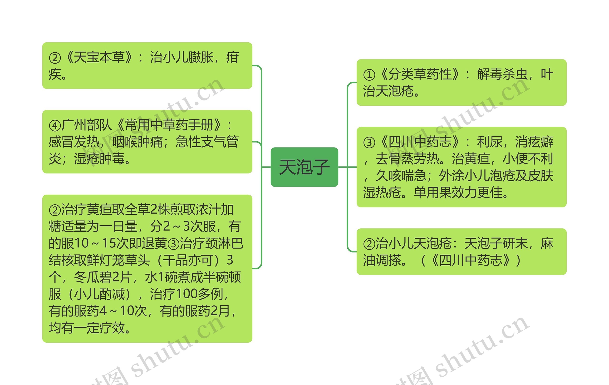 天泡子思维导图