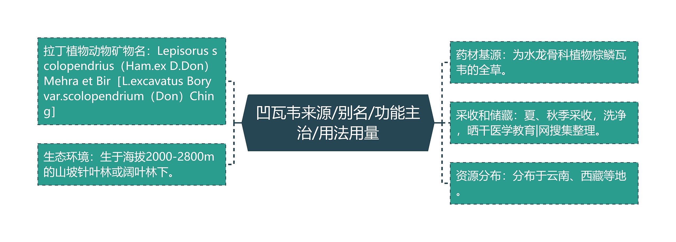 凹瓦韦来源/别名/功能主治/用法用量 凹瓦韦来源/别名/功能主治/用法用量
