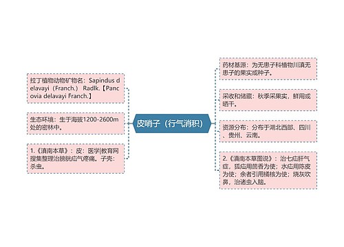 皮哨子（行气消积）