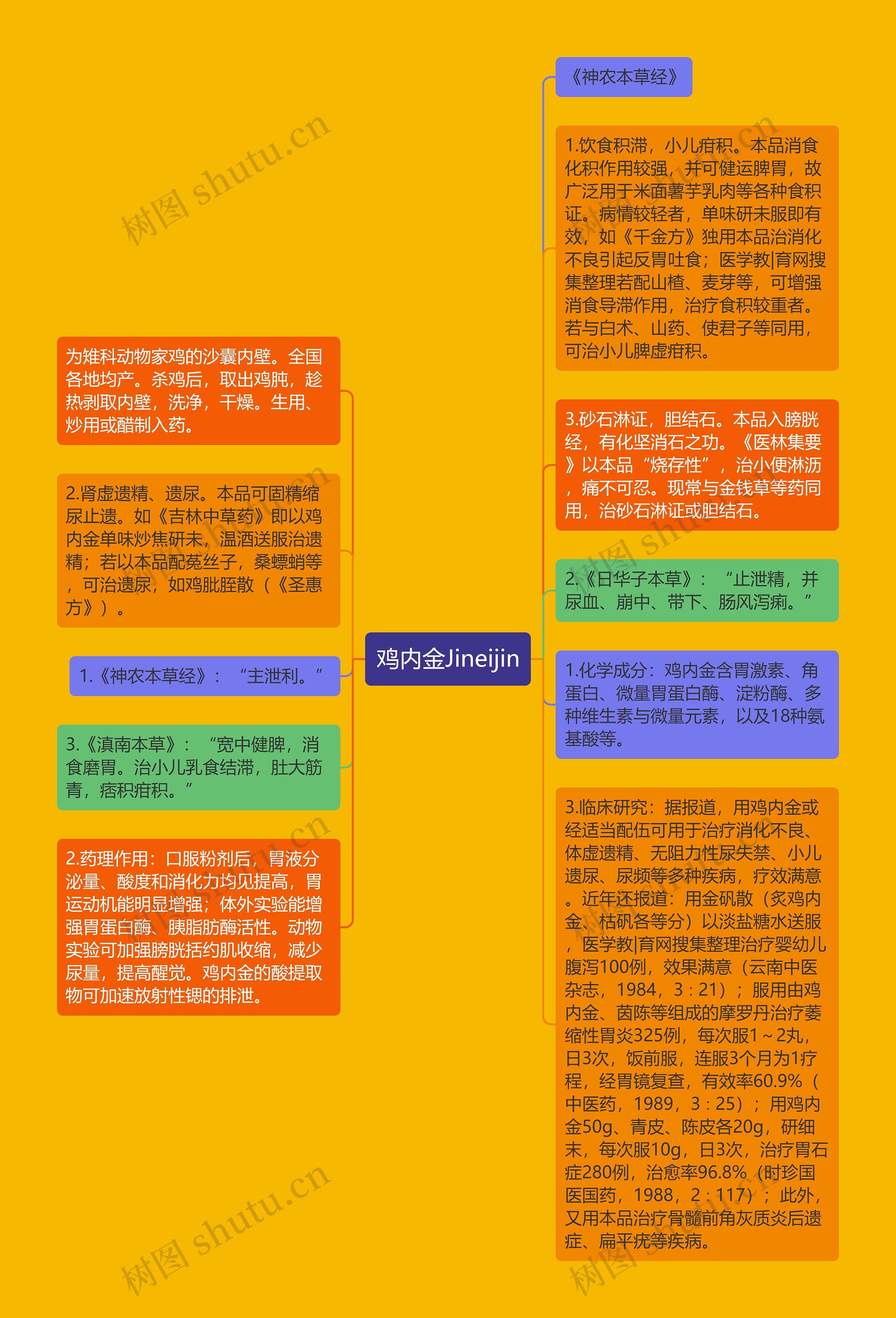 鸡内金Jineijin思维导图