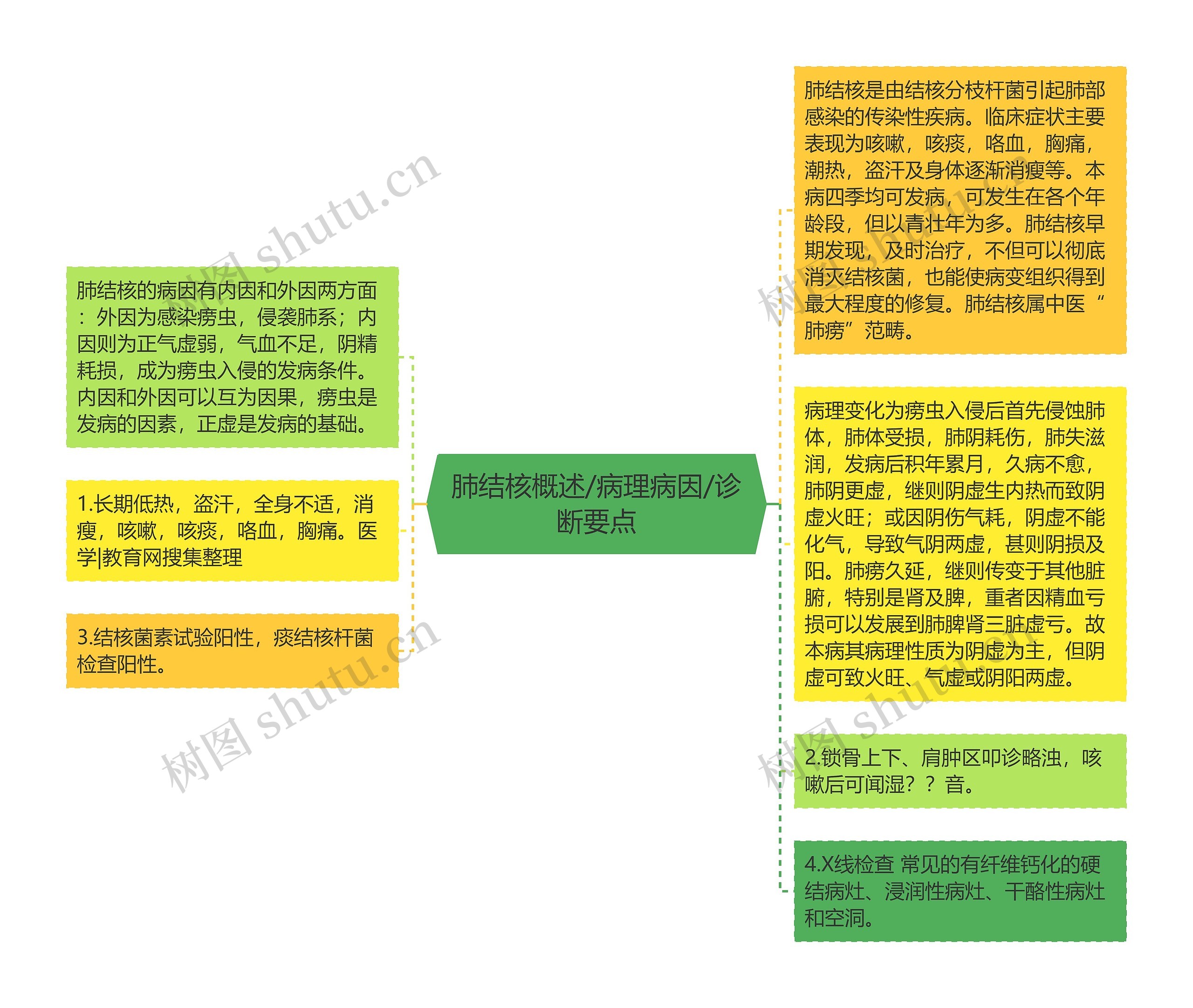 肺结核概述/病理病因/诊断要点思维导图