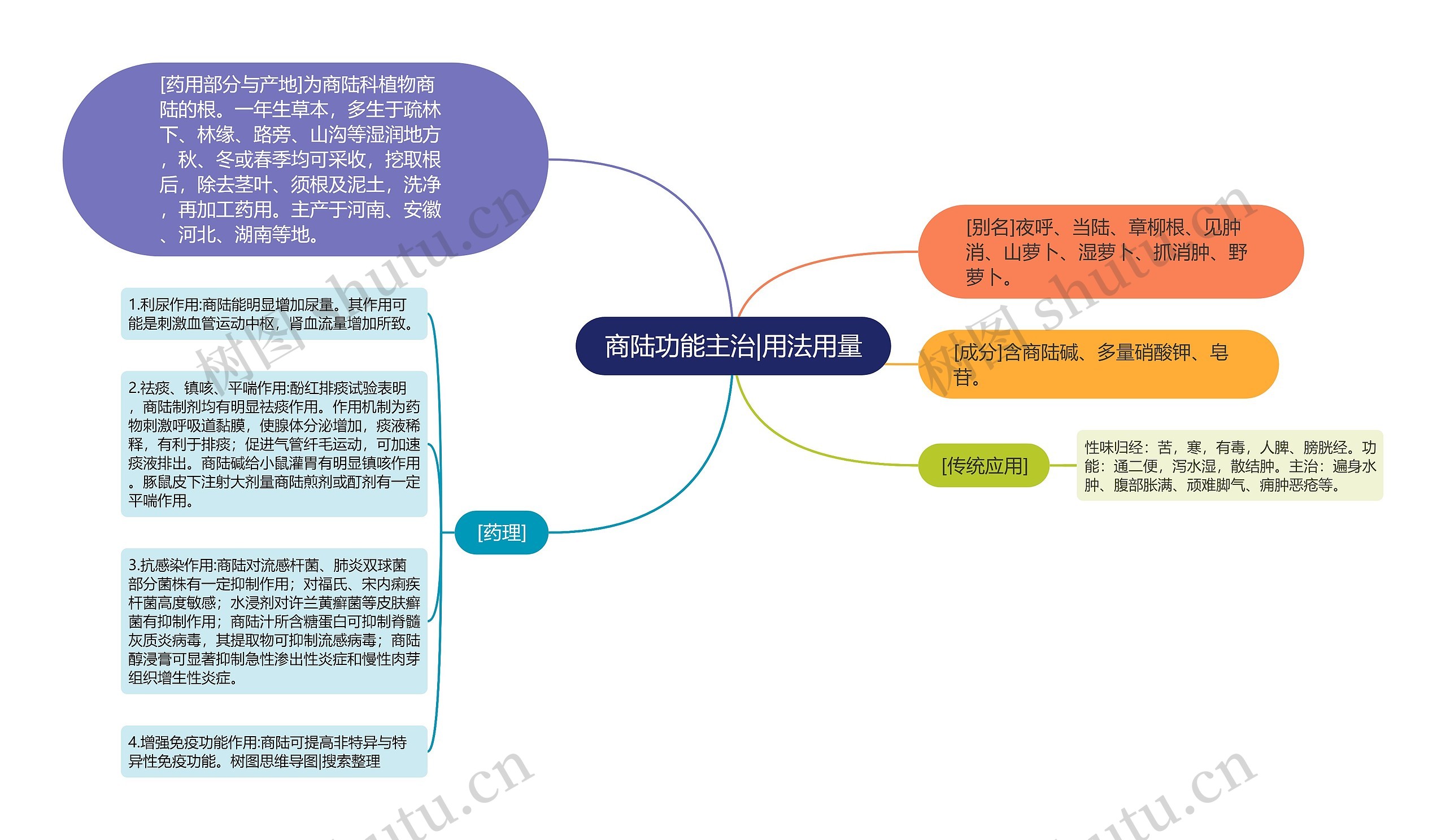 商陆功能主治|用法用量思维导图