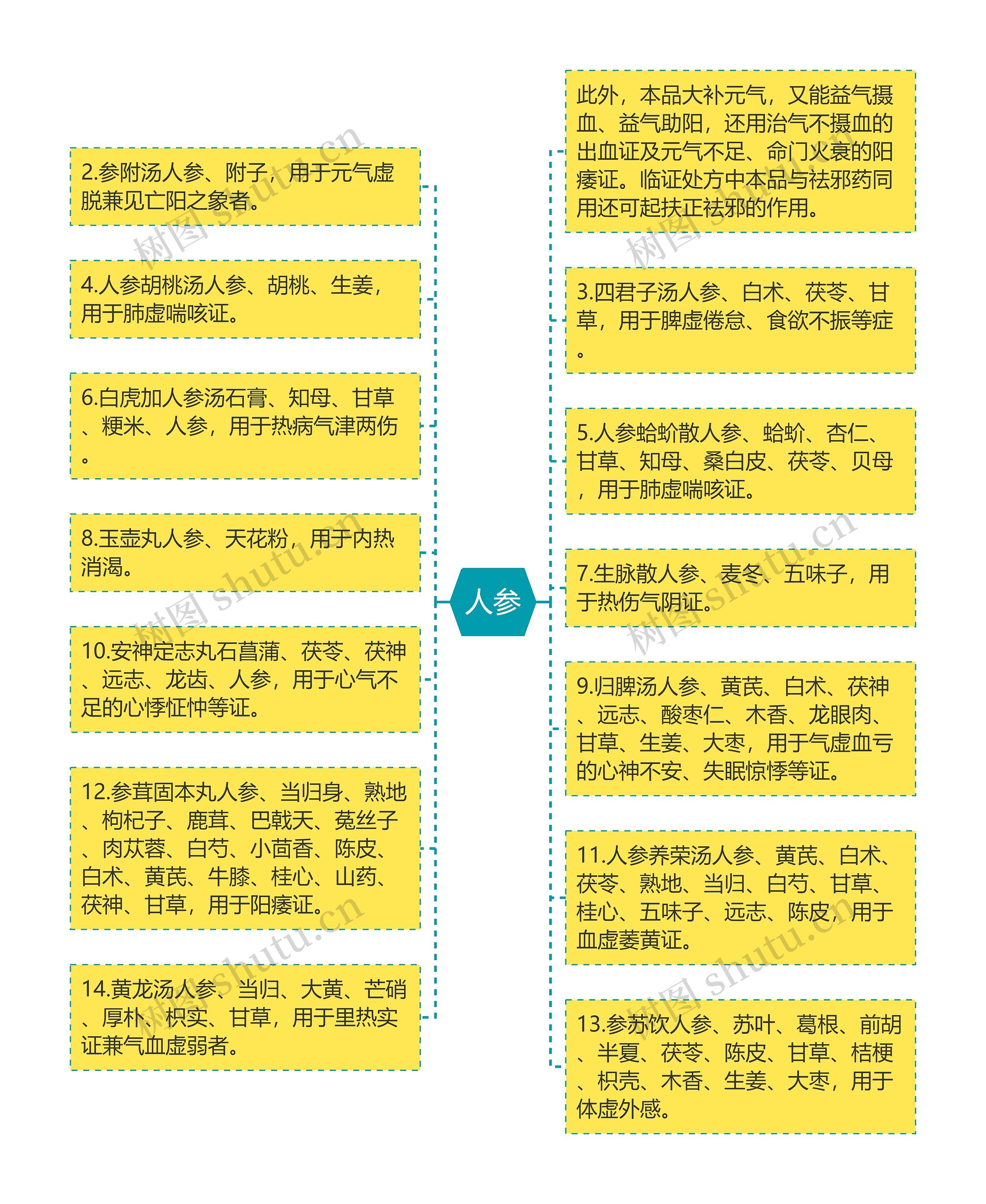 人参思维导图