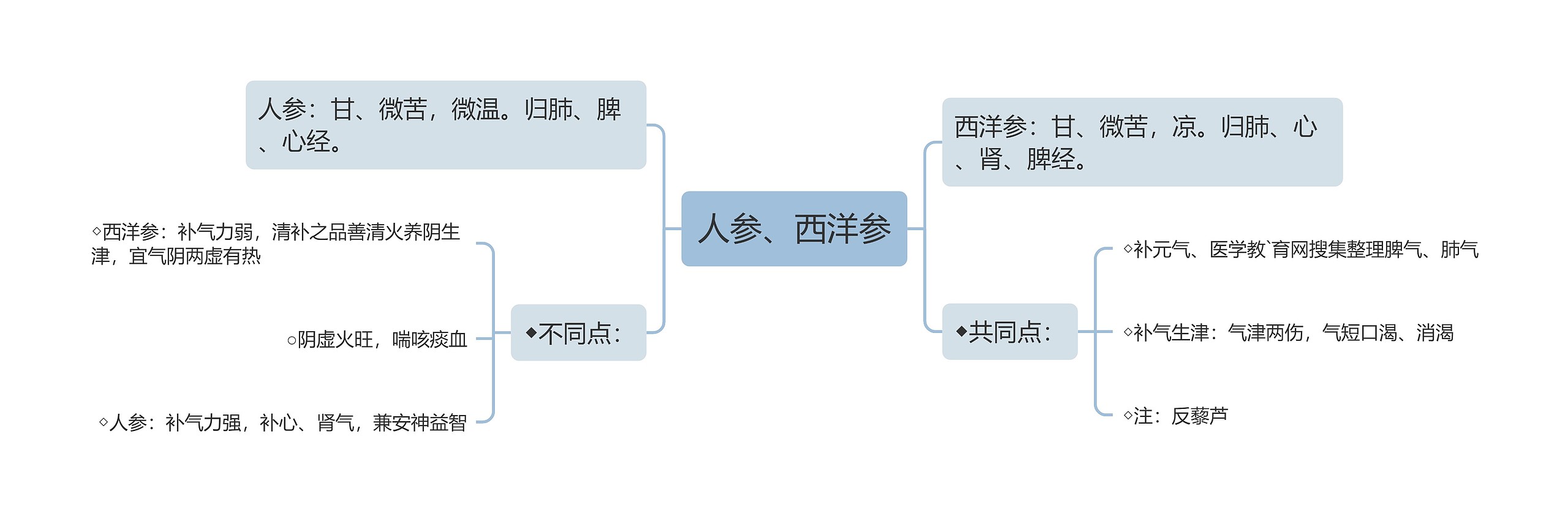 人参、西洋参思维导图