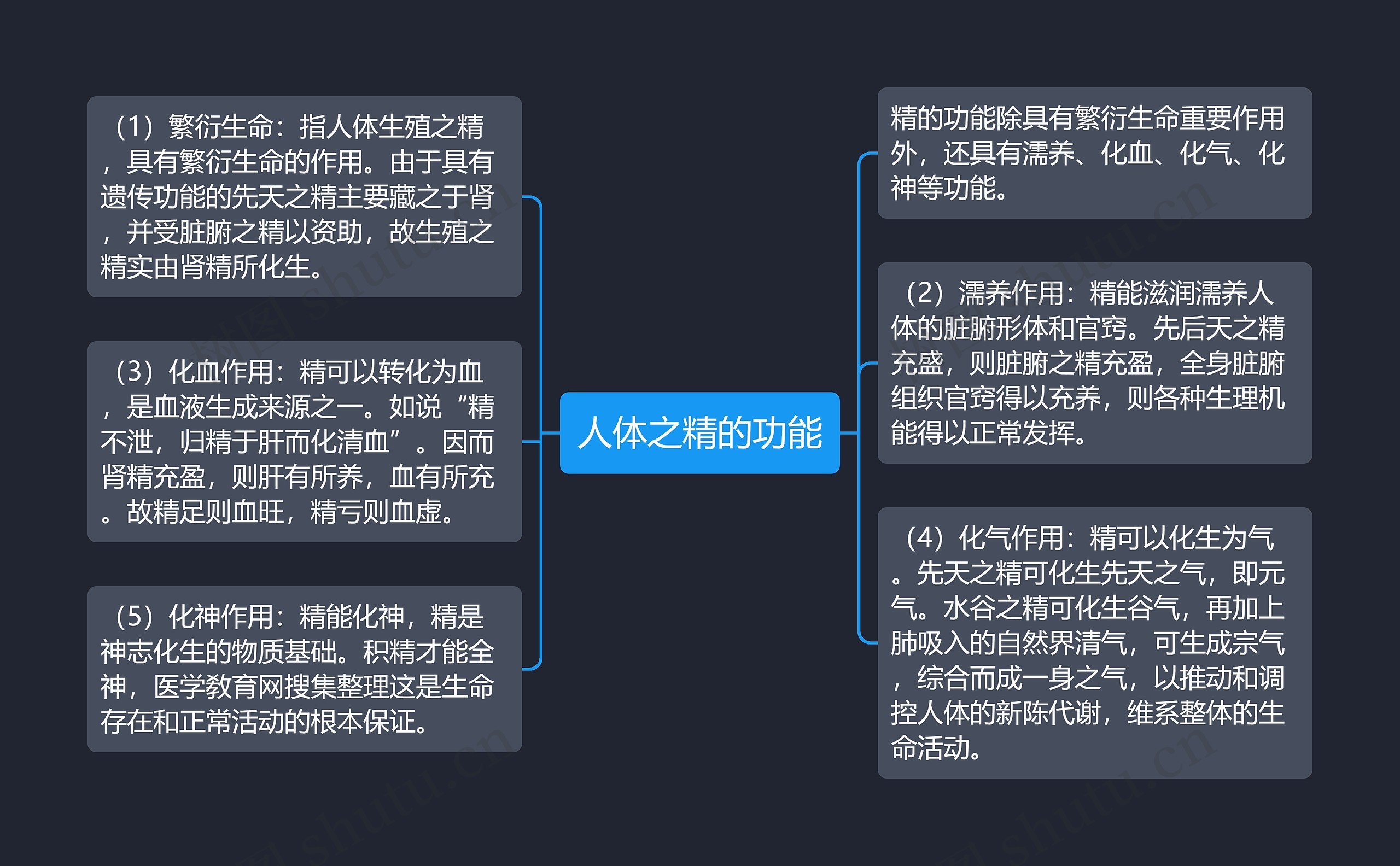 人体之精的功能思维导图