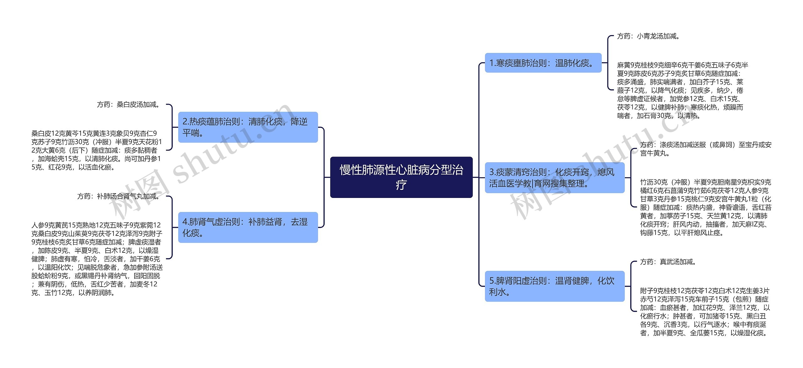 慢性肺源性心脏病分型治疗思维导图