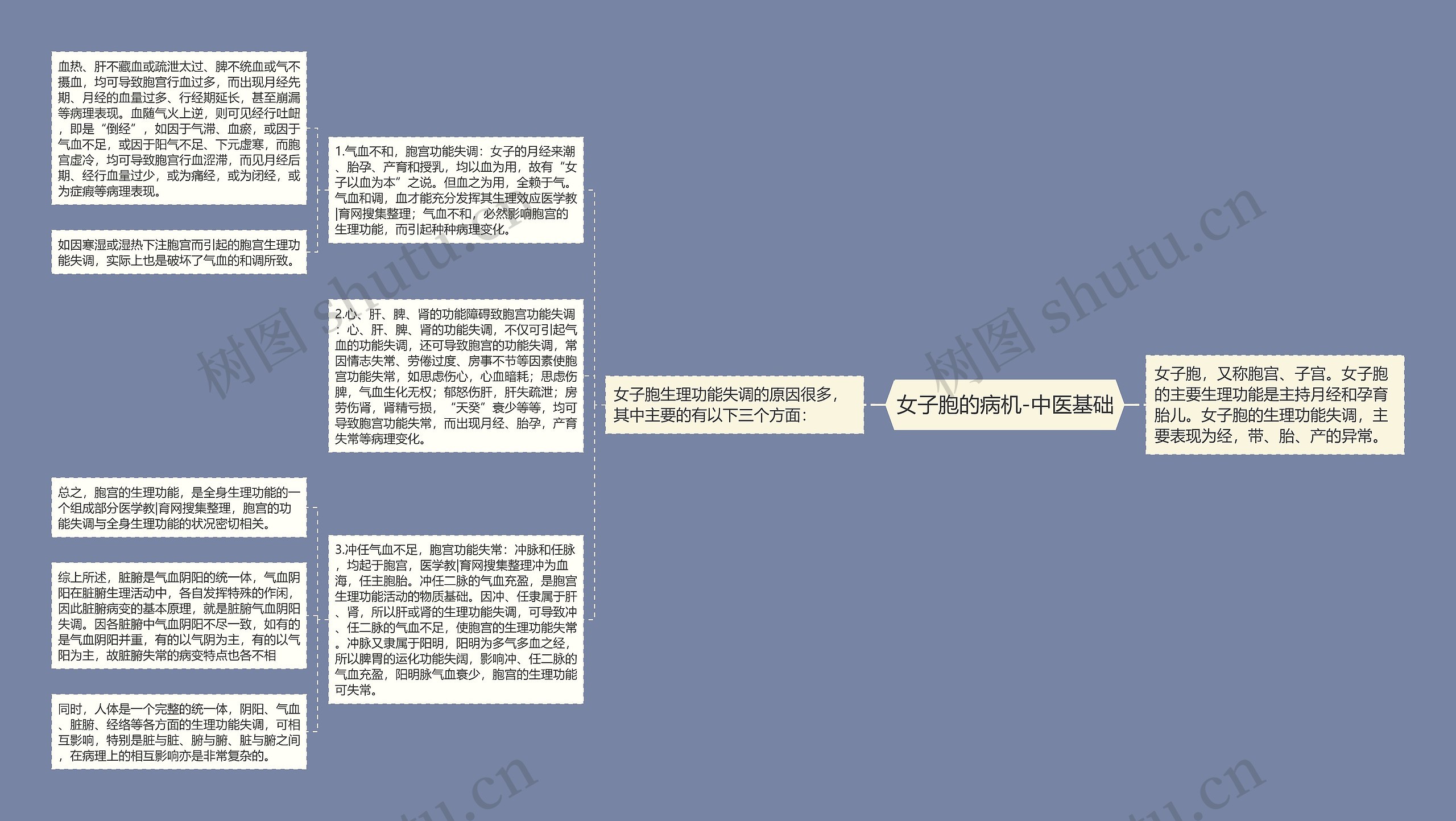 女子胞的病机-中医基础