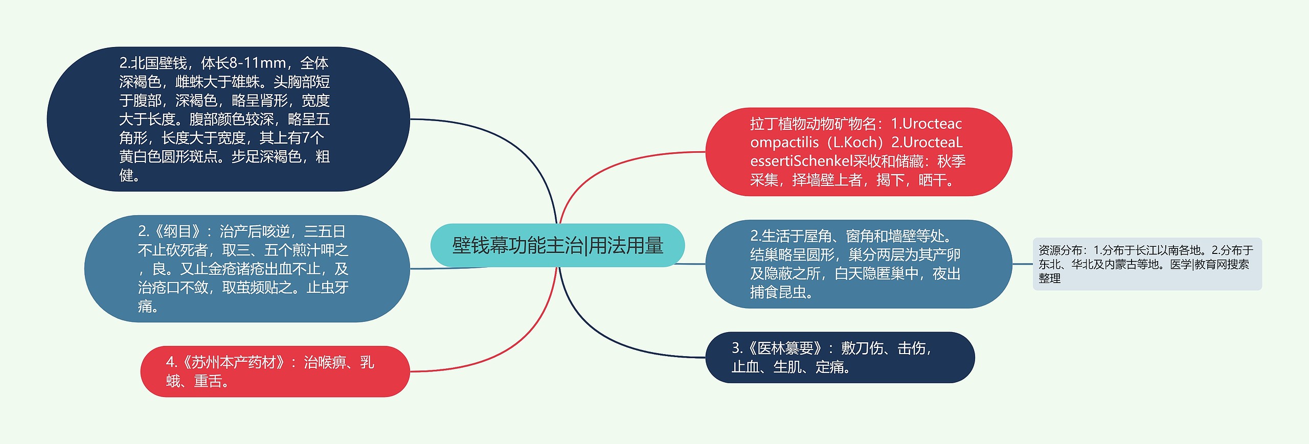 壁钱幕功能主治|用法用量