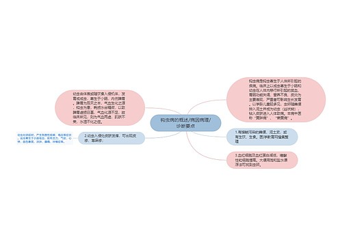 钩虫病的概述/病因病理/诊断要点