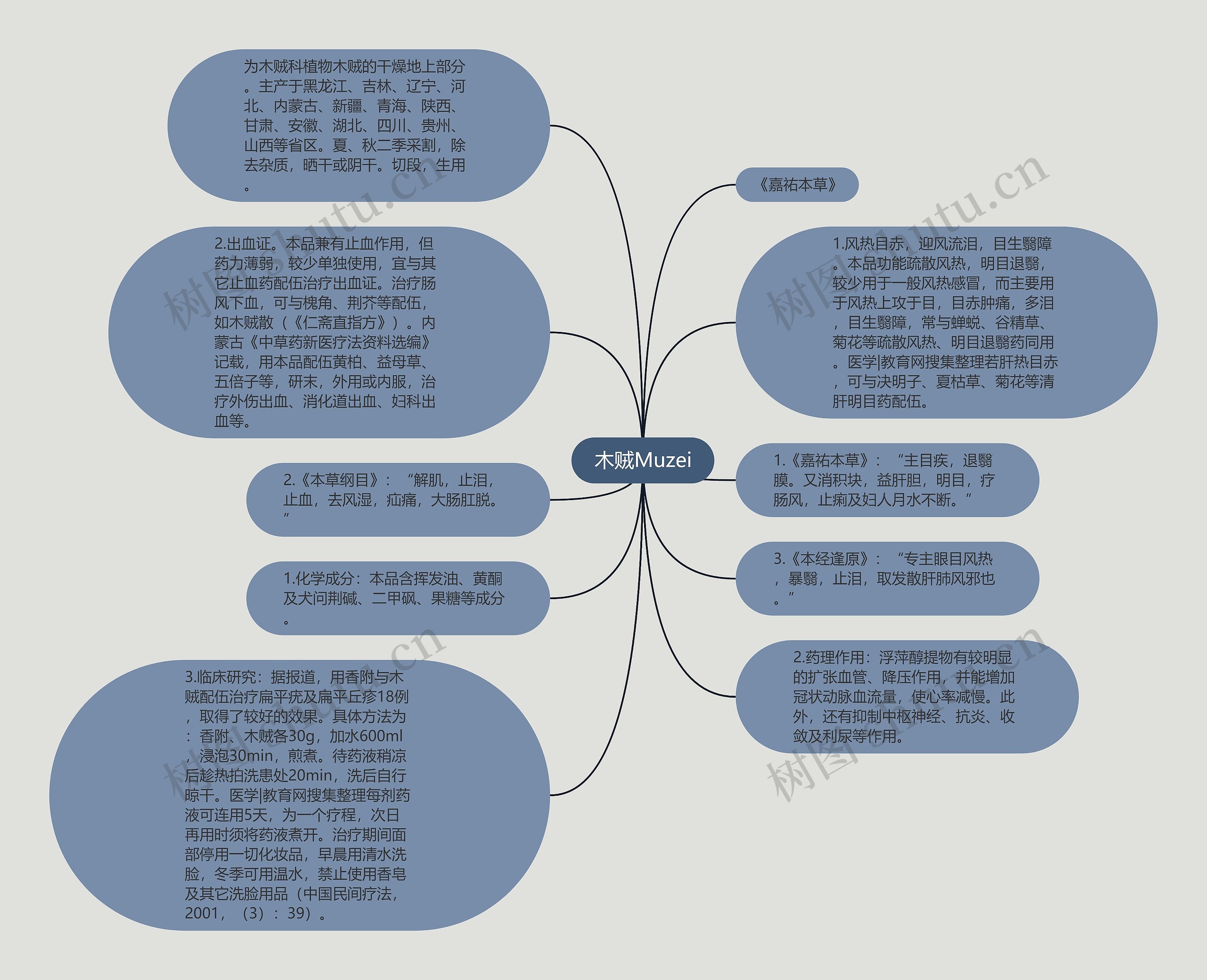 木贼Muzei思维导图