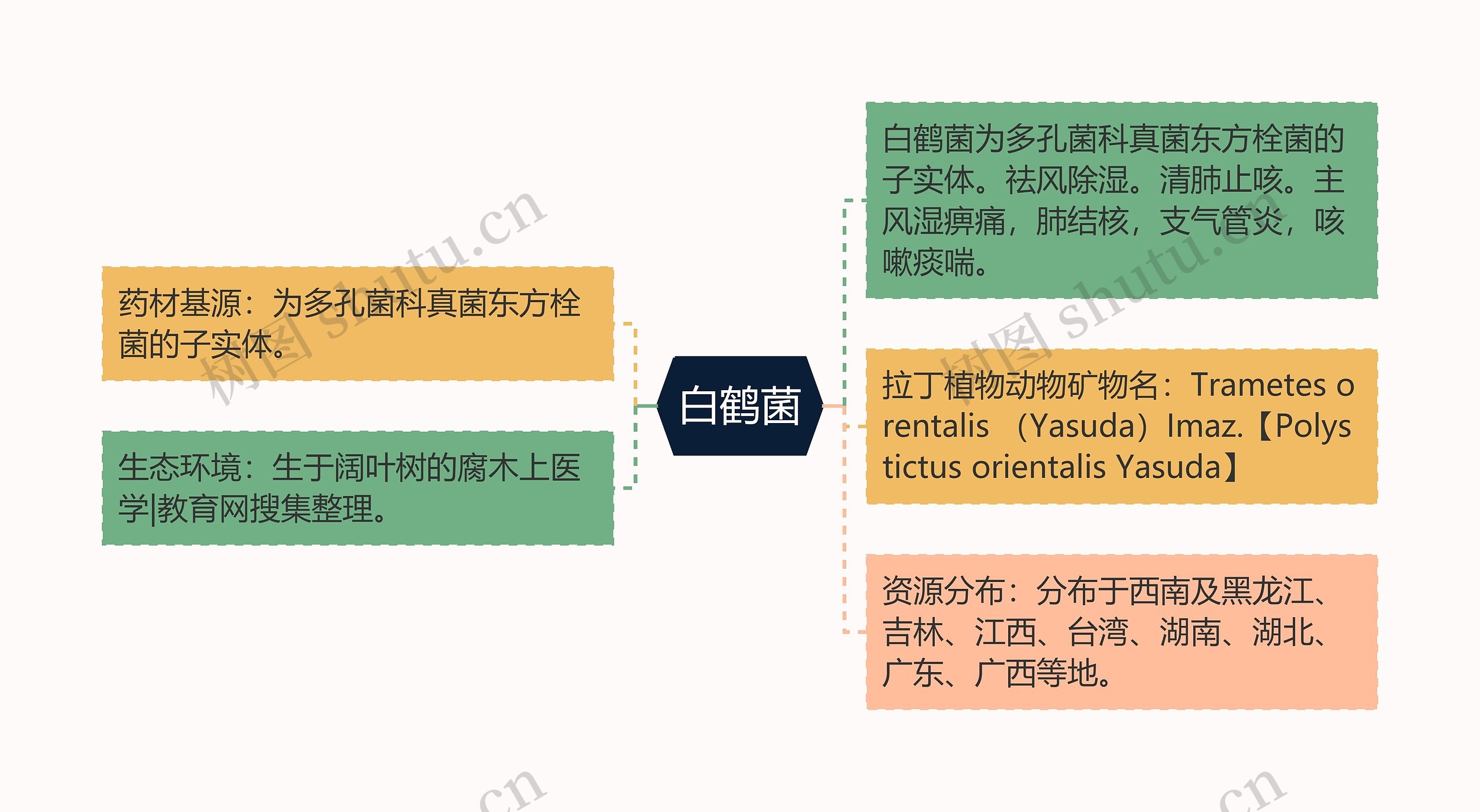 白鹤菌思维导图