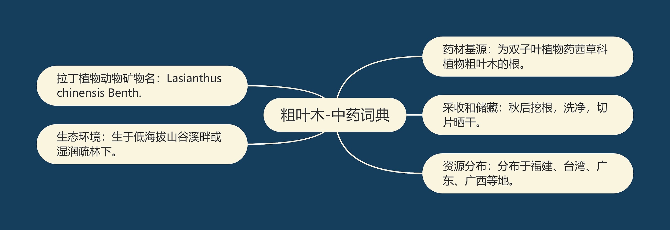 粗叶木-中药词典