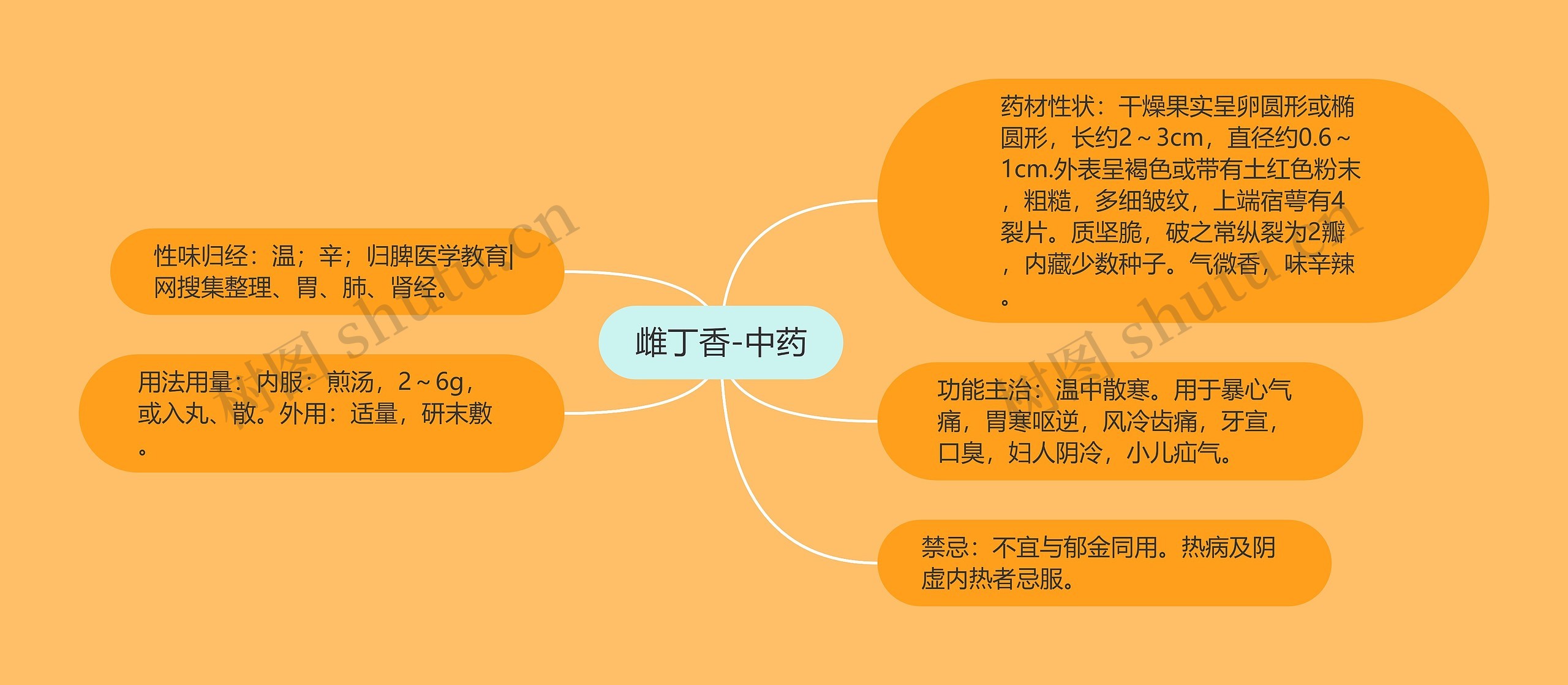 雌丁香-中药思维导图高清图 雌丁香-中药思维导图