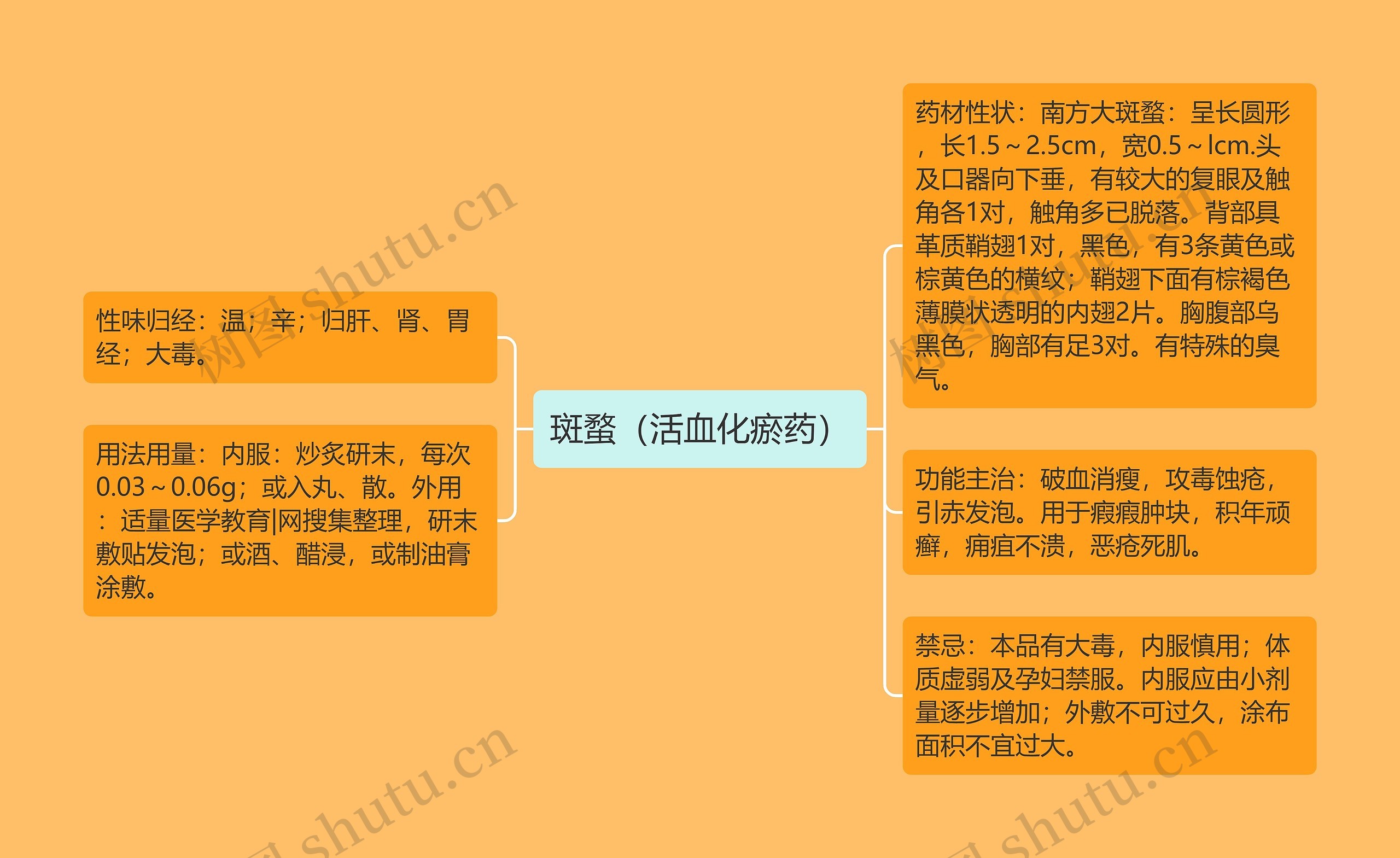 斑蝥（活血化瘀药）