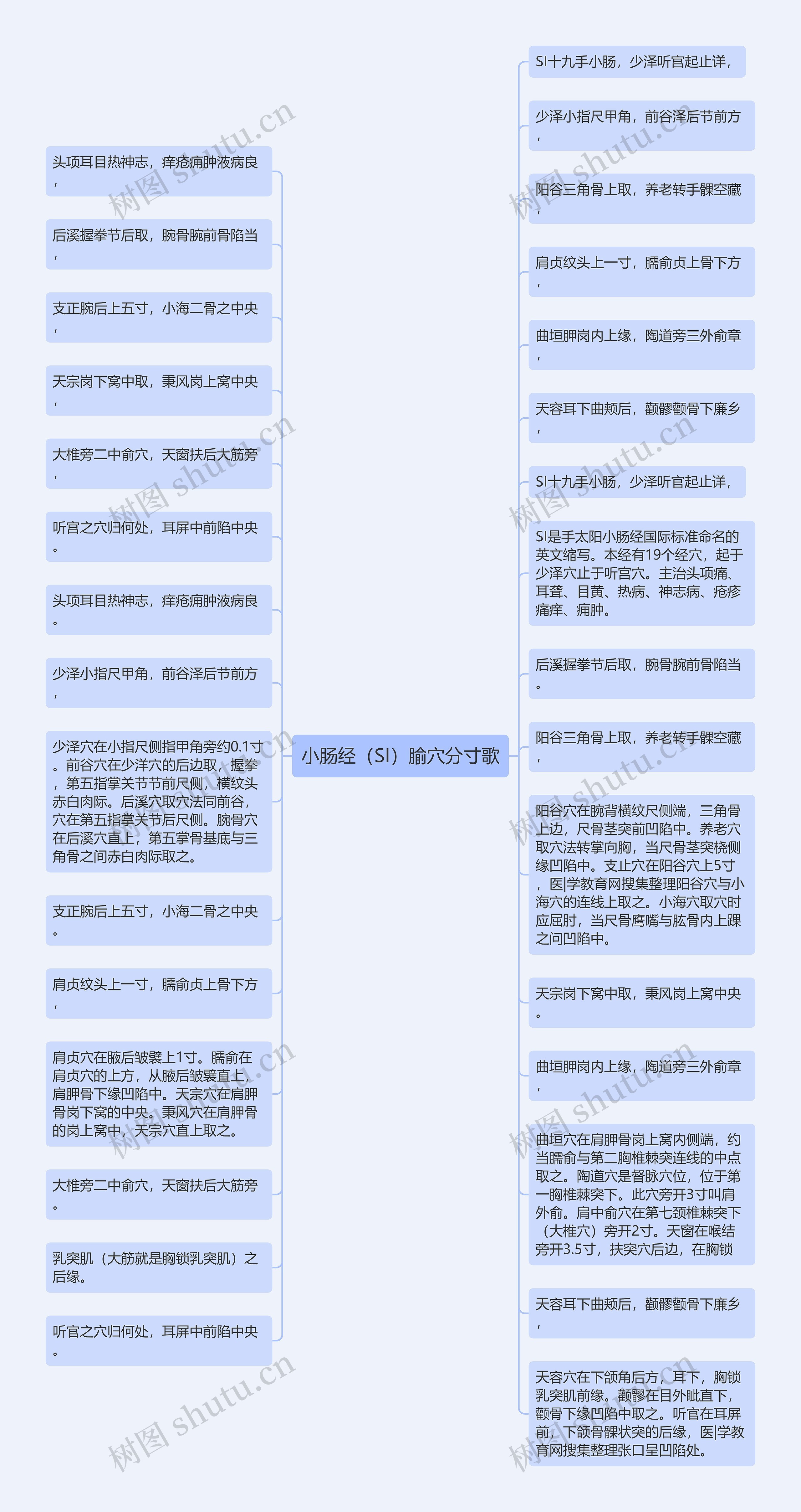 小肠经（SI）腧穴分寸歌思维导图