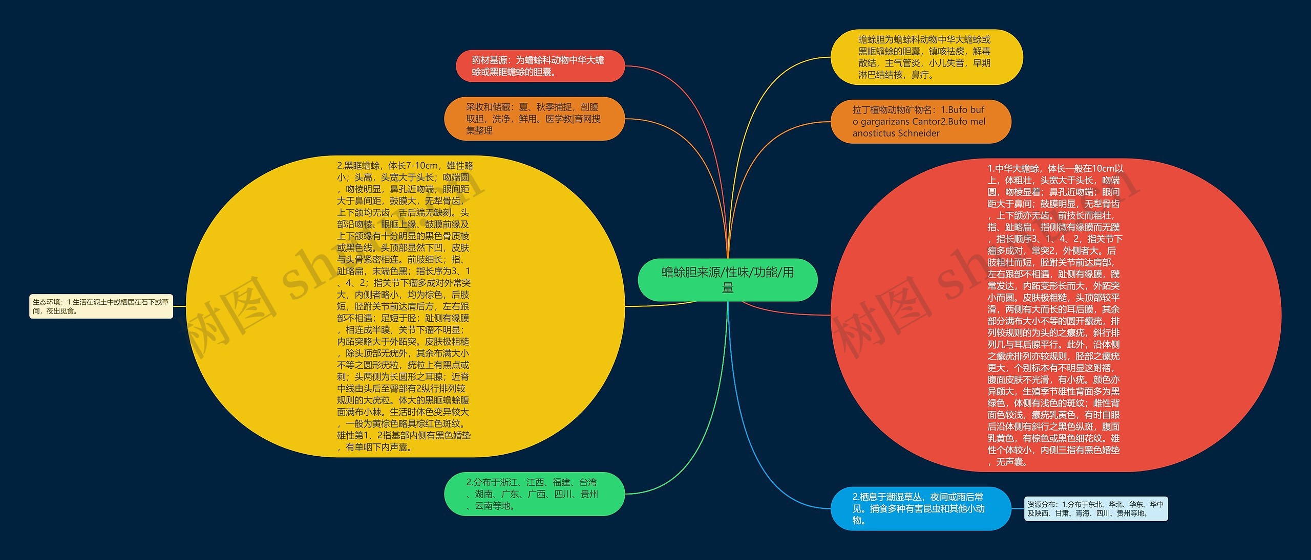 蟾蜍胆来源/性味/功能/用量思维导图