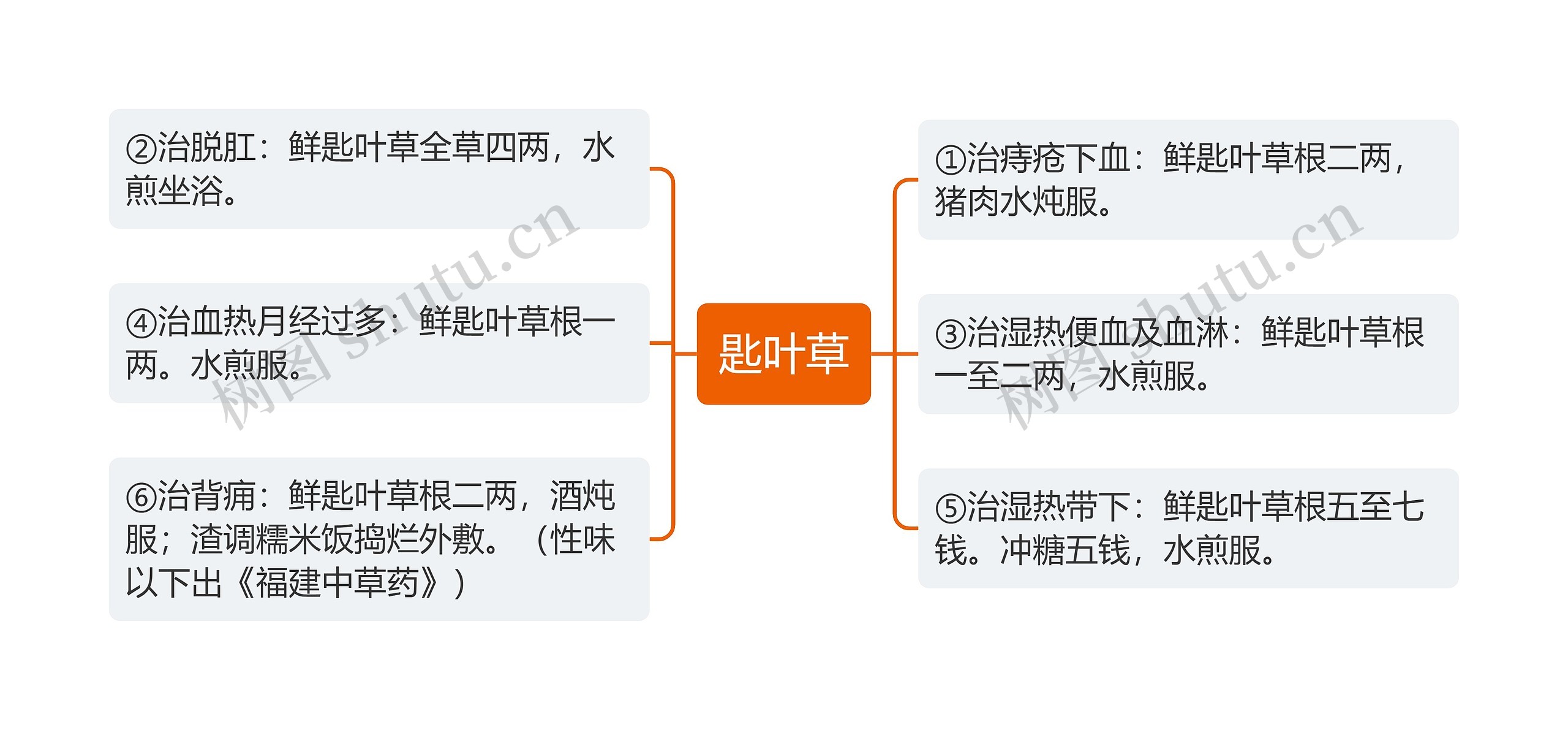 匙叶草思维导图