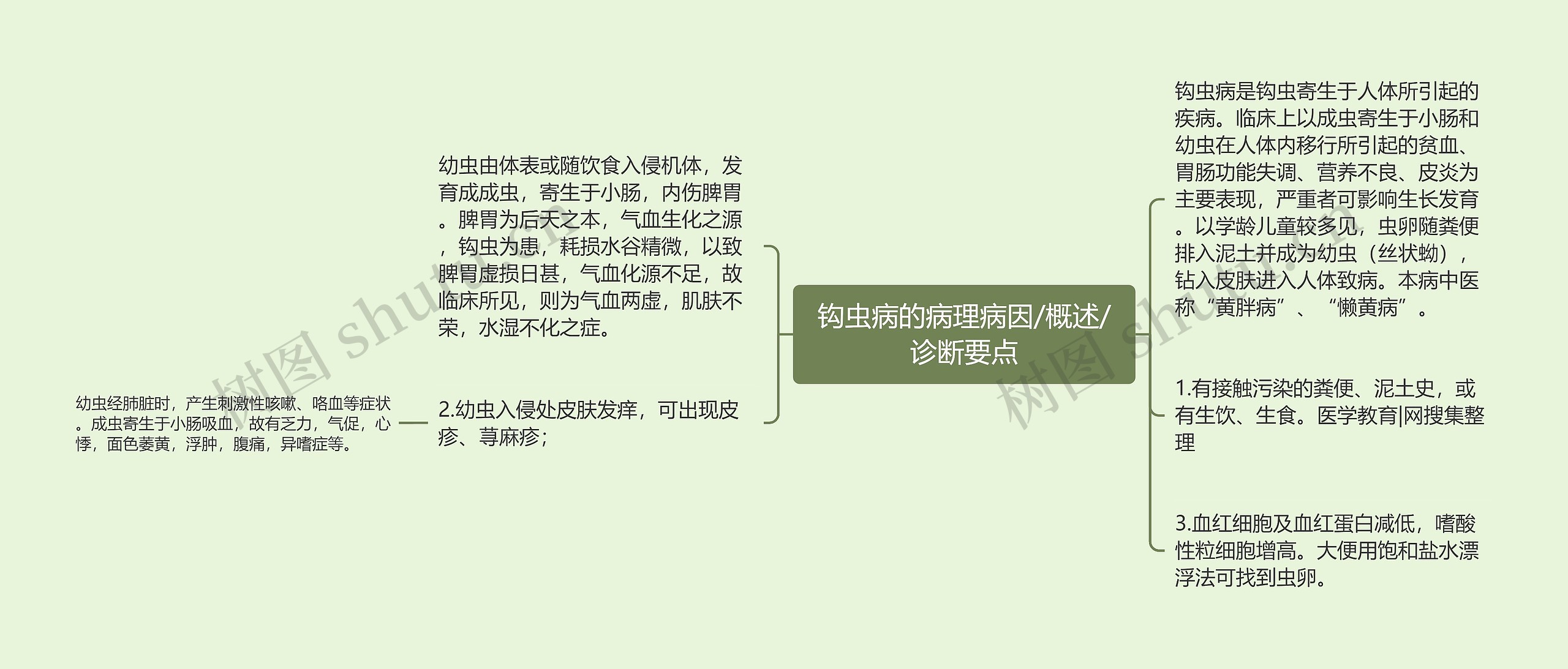 钩虫病的病理病因/概述/诊断要点 钩虫病的病理病因/概述/诊断要点