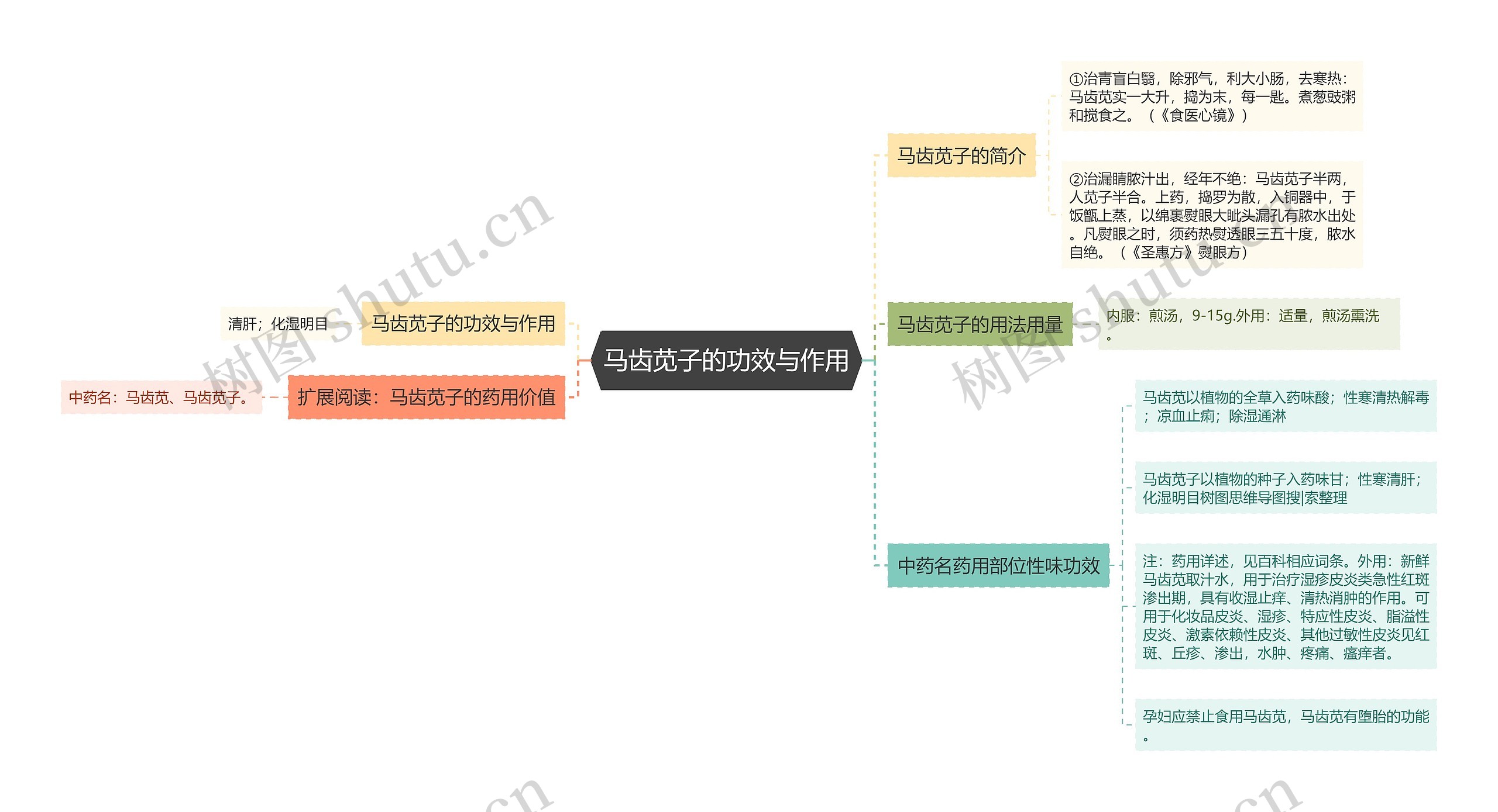 马齿苋子的功效与作用思维导图