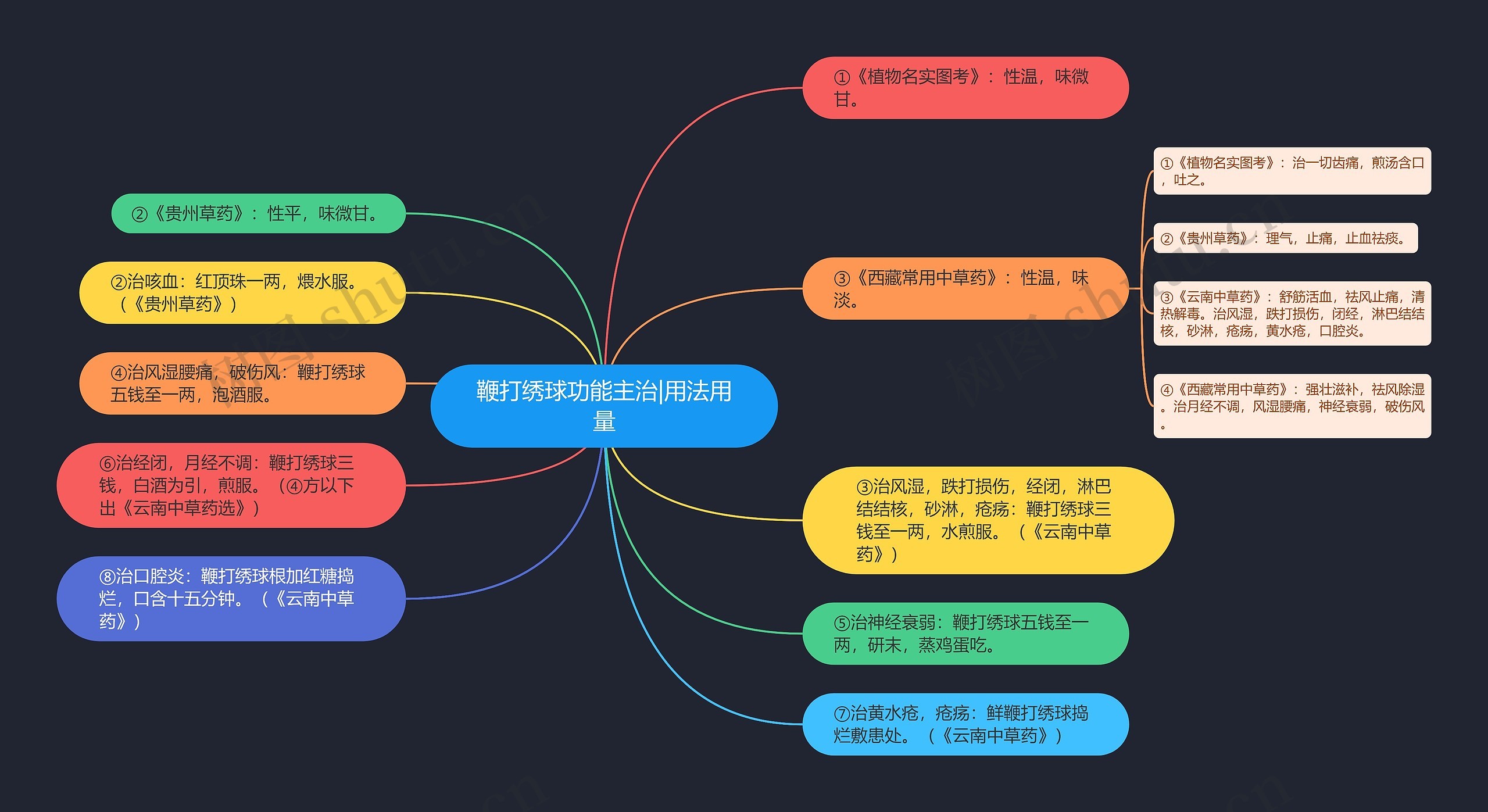 鞭打绣球功能主治|用法用量思维导图