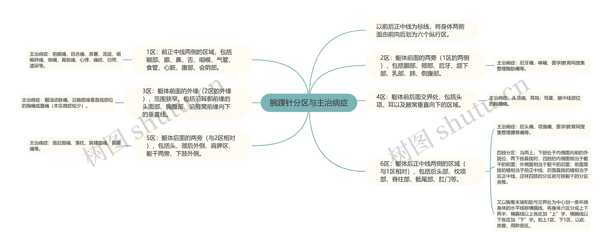 腕踝针分区与主治病症