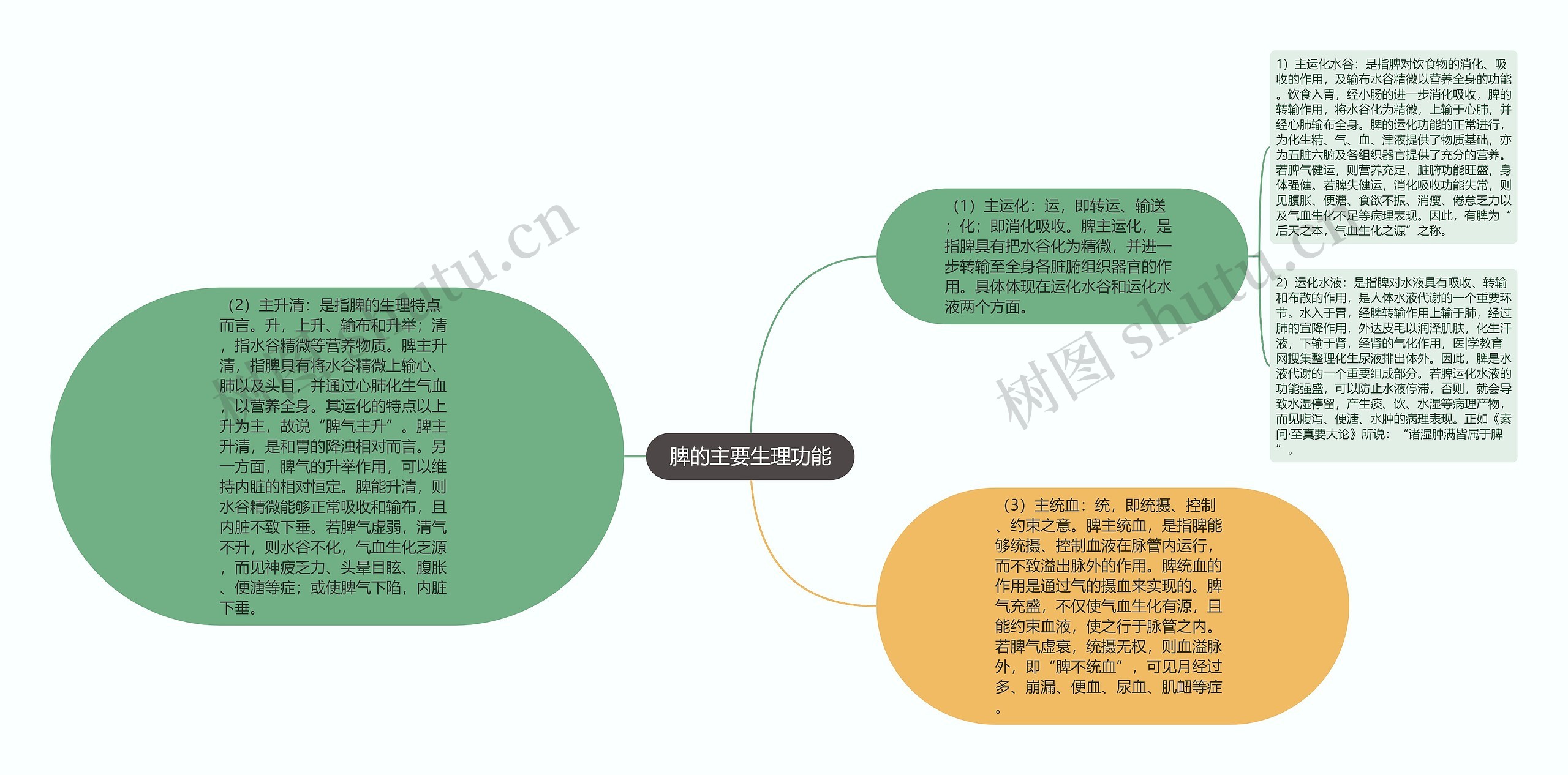 脾的主要生理功能