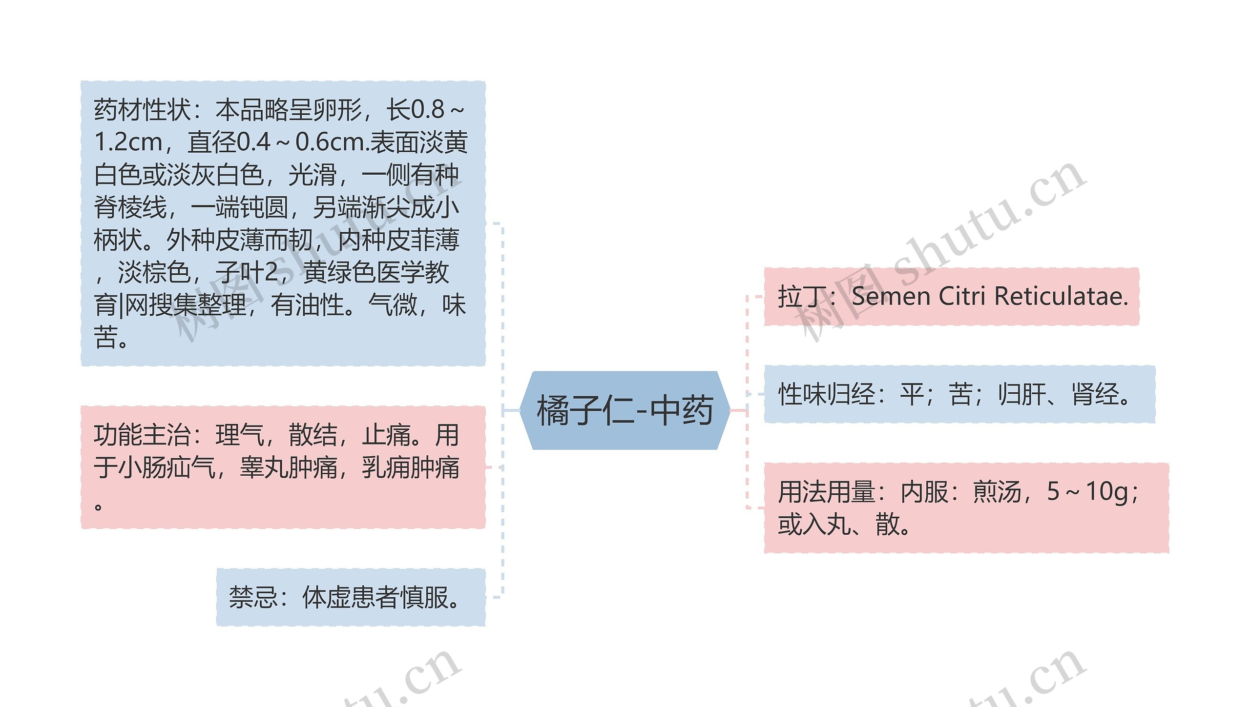 橘子仁-中药思维导图