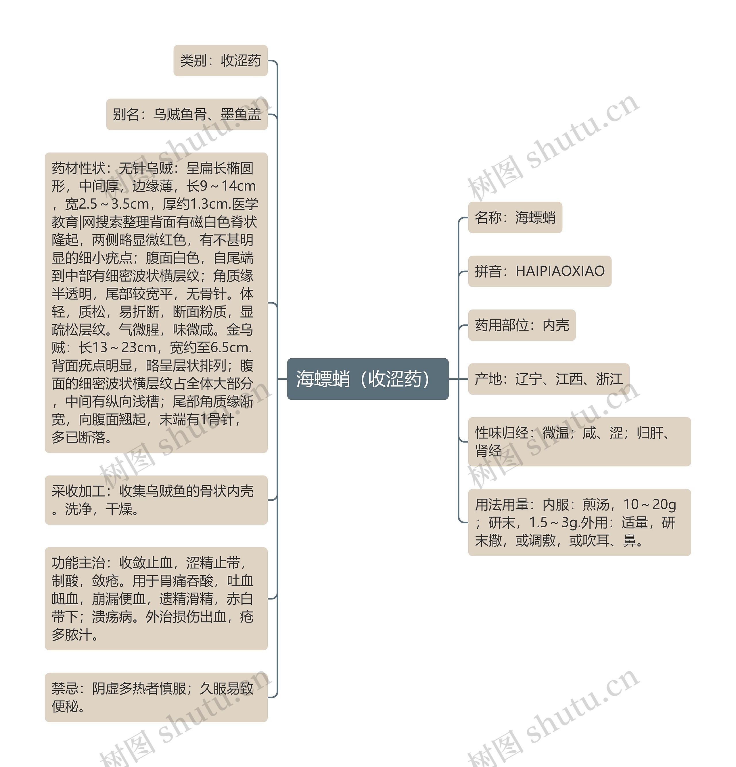 海螵蛸（收涩药）