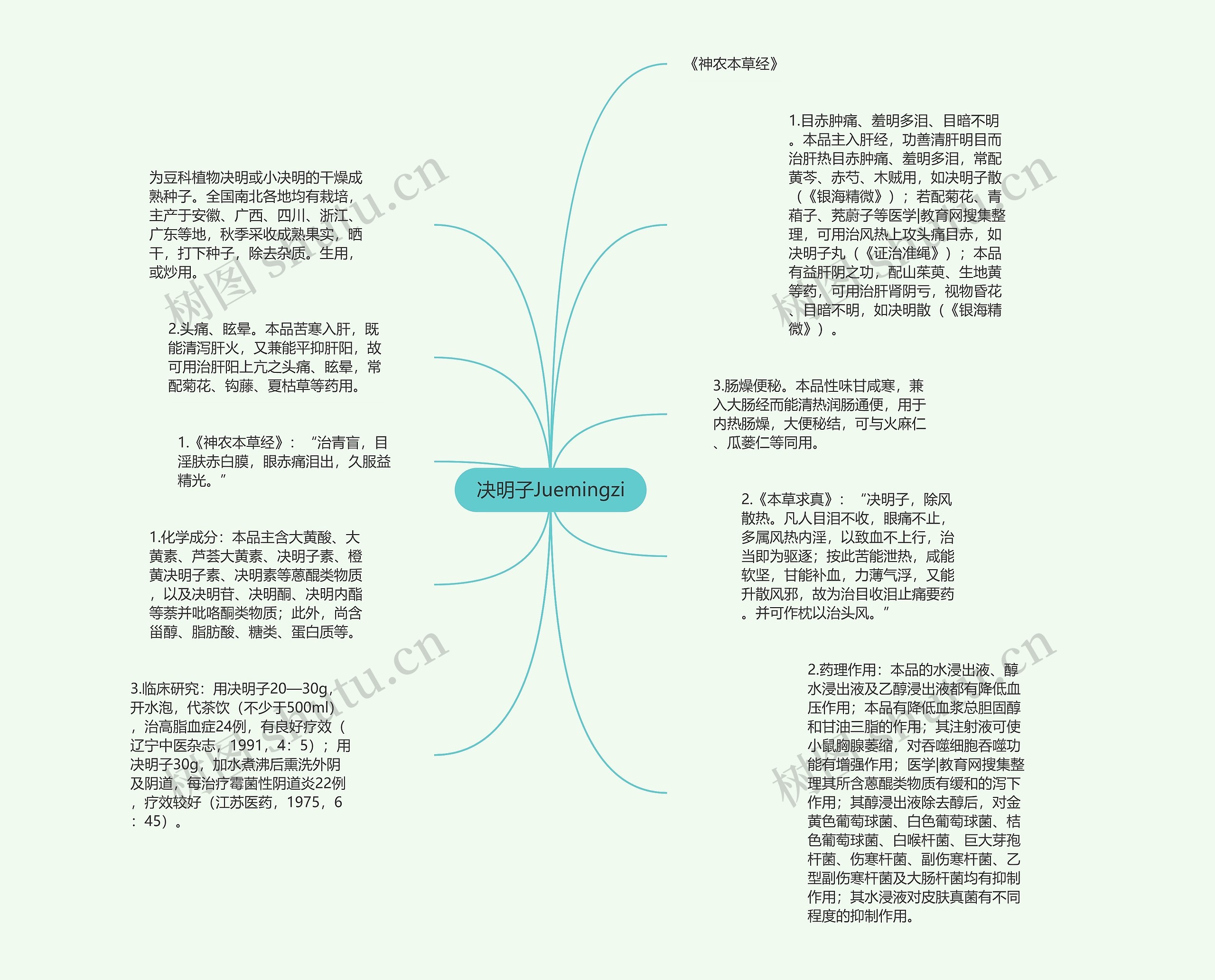 决明子Juemingzi思维导图