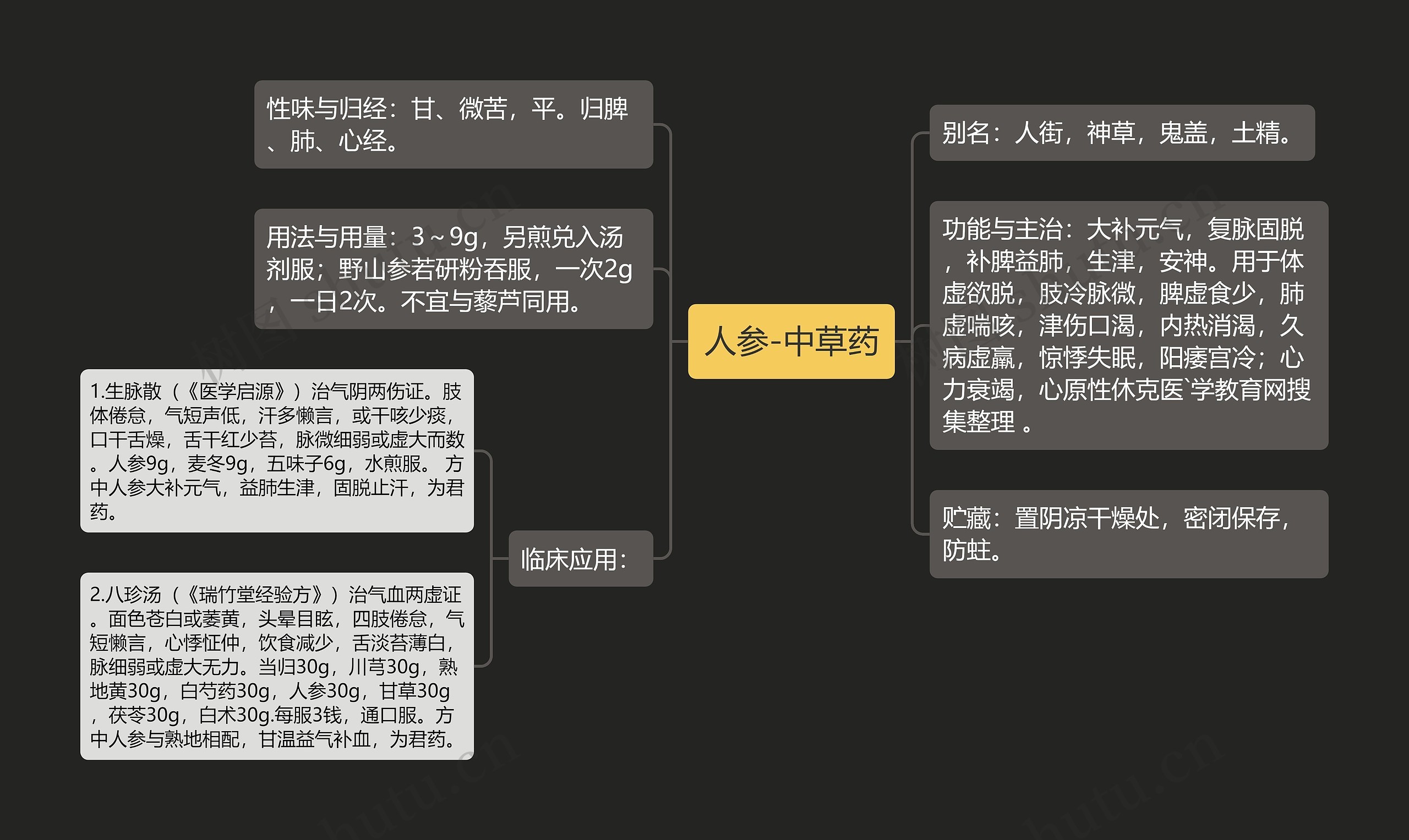 人参-中草药思维导图