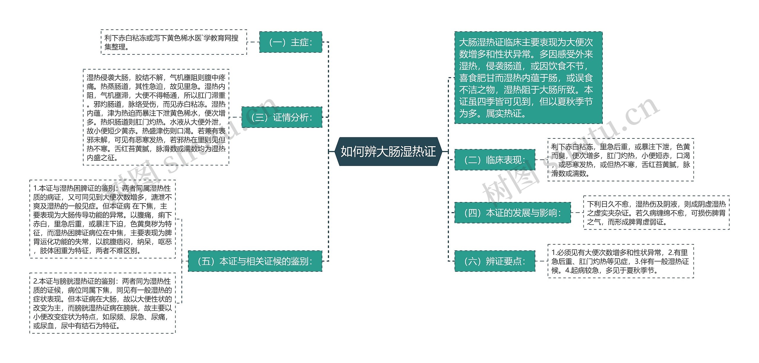 如何辨大肠湿热证