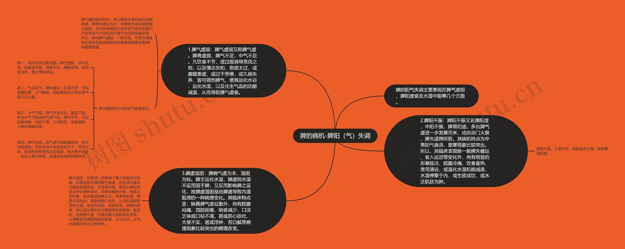 脾的病机-脾阳（气）失调思维导图